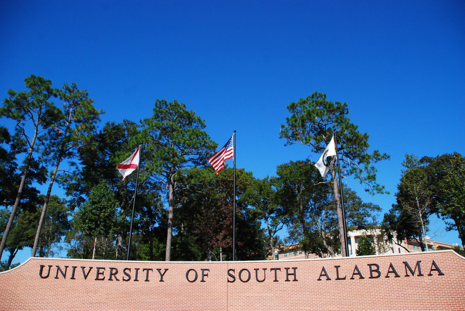 Nikon D80 sample photo. University, university of south photography