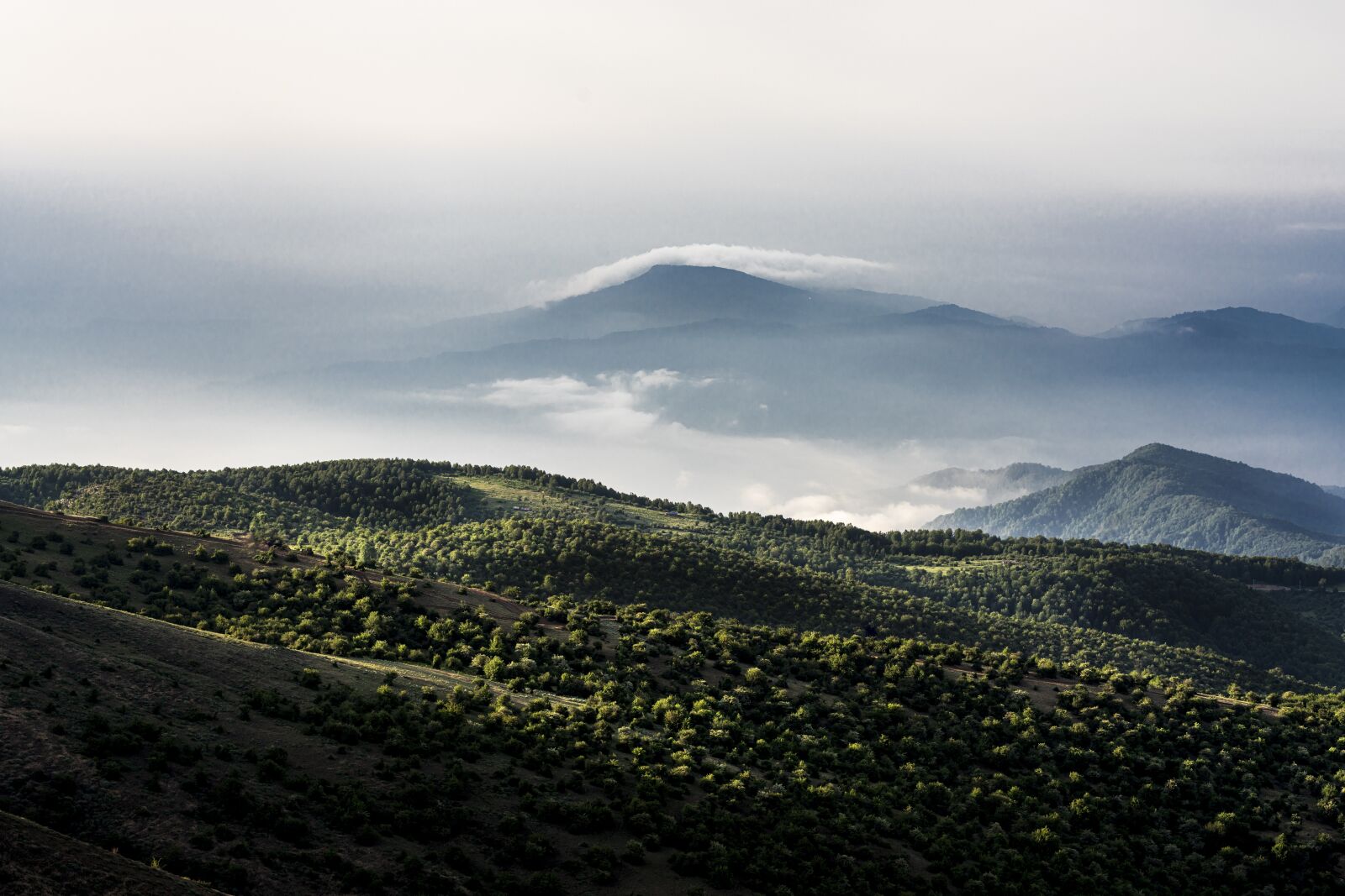 Sigma 85mm F1.4 DG HSM Art sample photo. Mountains, forest, fog photography