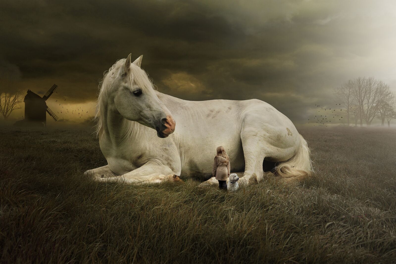Canon EOS 6D sample photo. Horse, mammal, animal photography