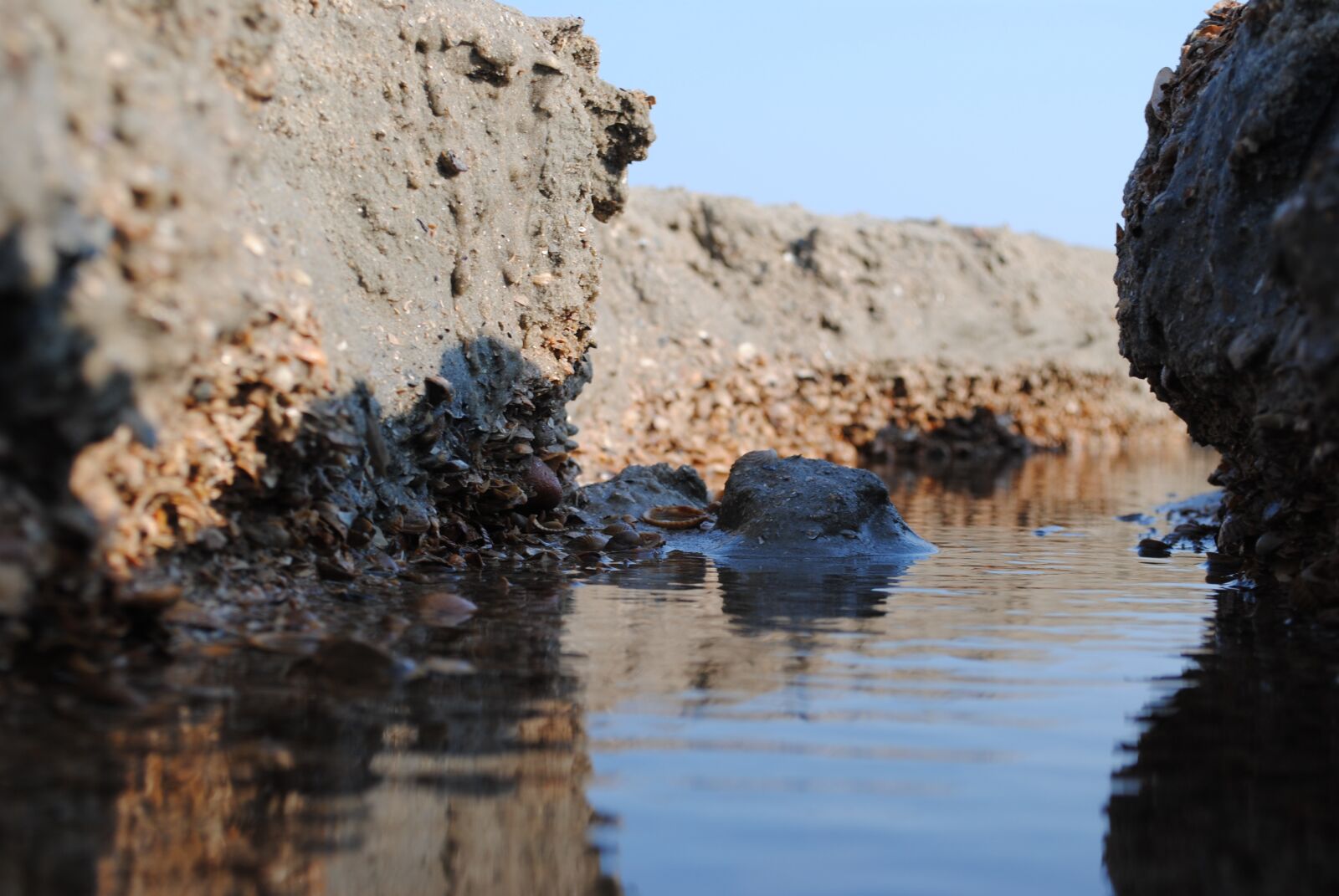 Nikon D3000 sample photo. Sand, mussels, water photography