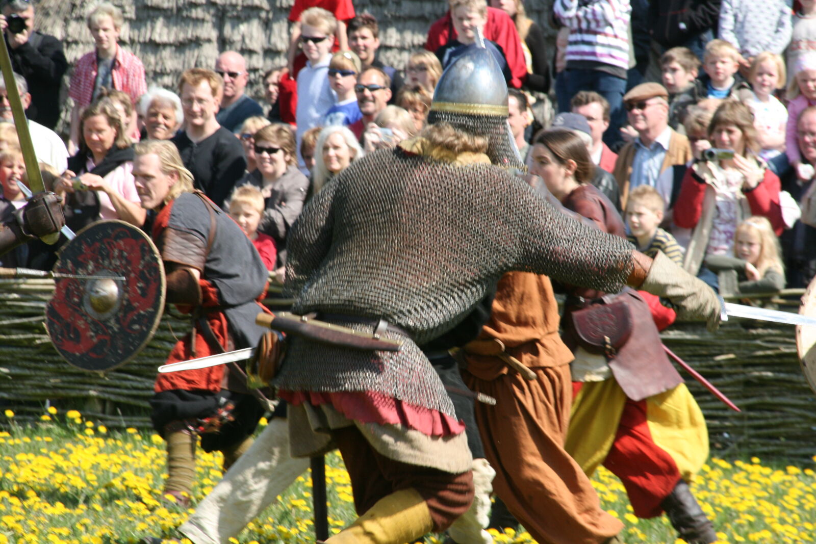 Sigma 18-200mm f/3.5-6.3 DC OS sample photo. Vikings photography