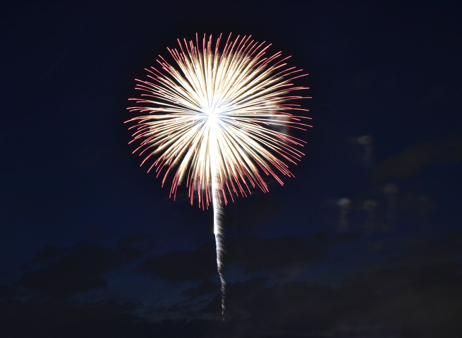 Nikon D3100 sample photo. Fireworks, new year's eve photography