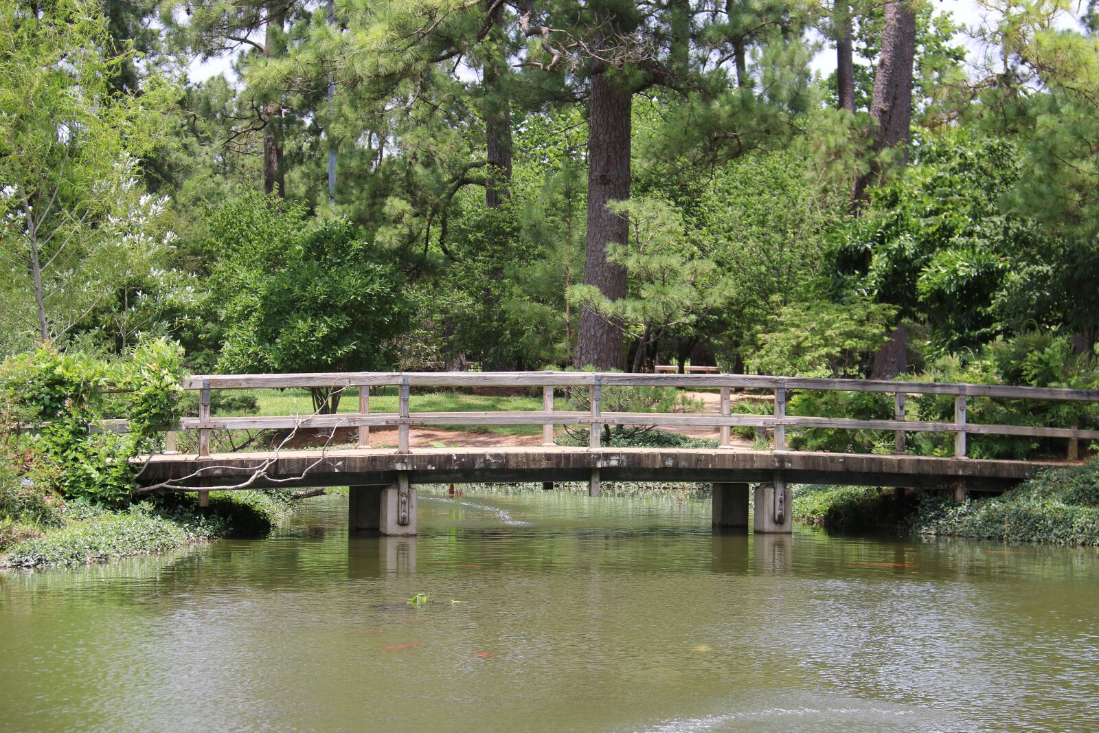 Canon EOS 750D (EOS Rebel T6i / EOS Kiss X8i) sample photo. Japanese, park, nature photography