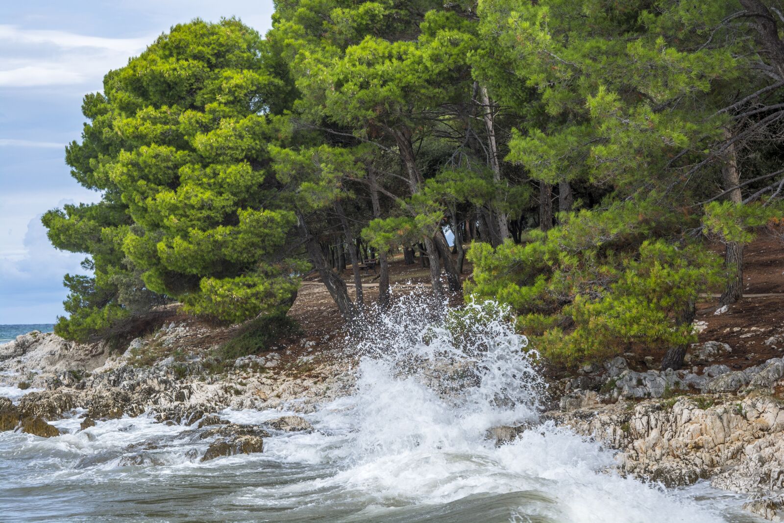 Nikon D5200 sample photo. Sea, waves, trees photography