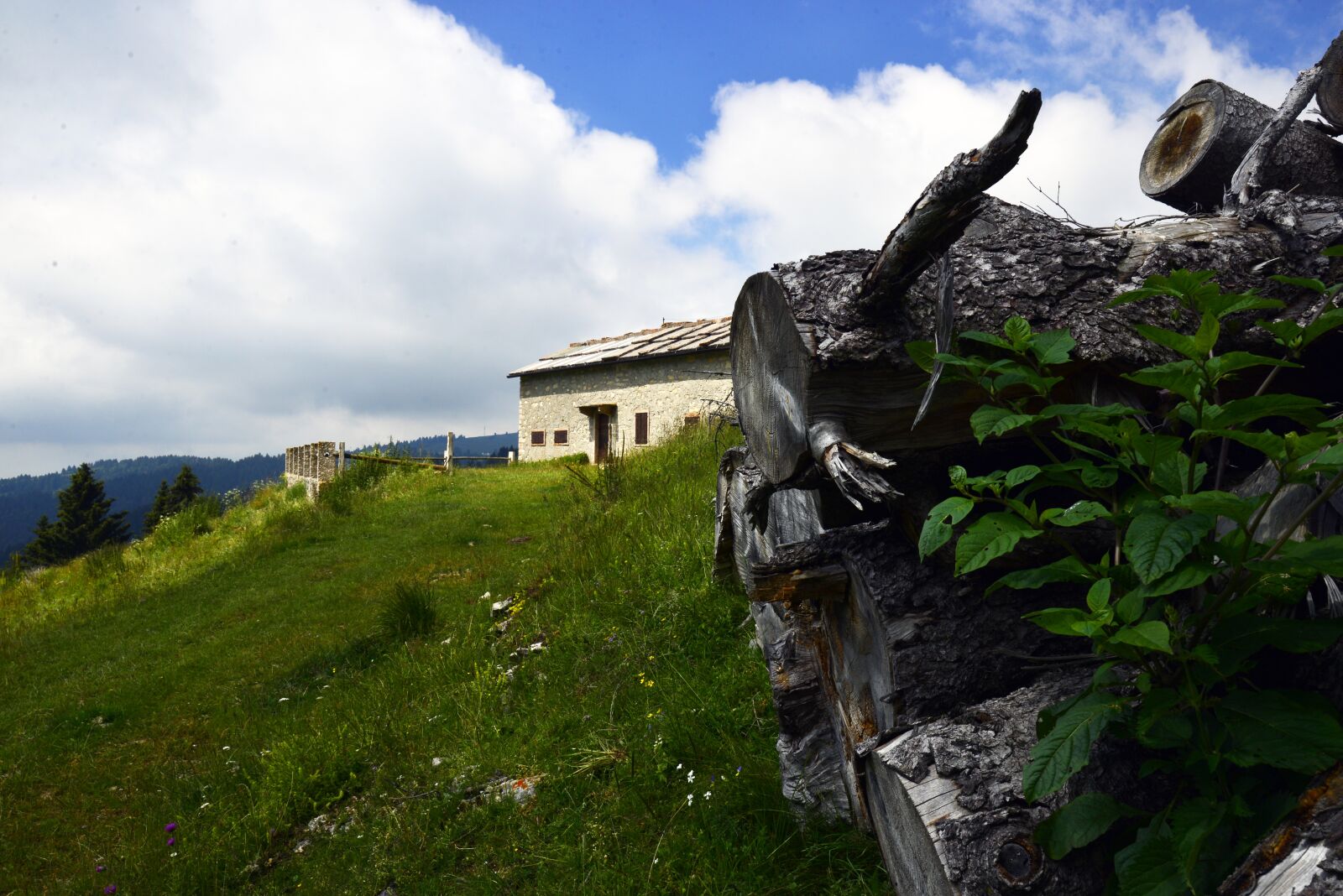 Nikon D610 sample photo. Landscape, wood, mountain photography