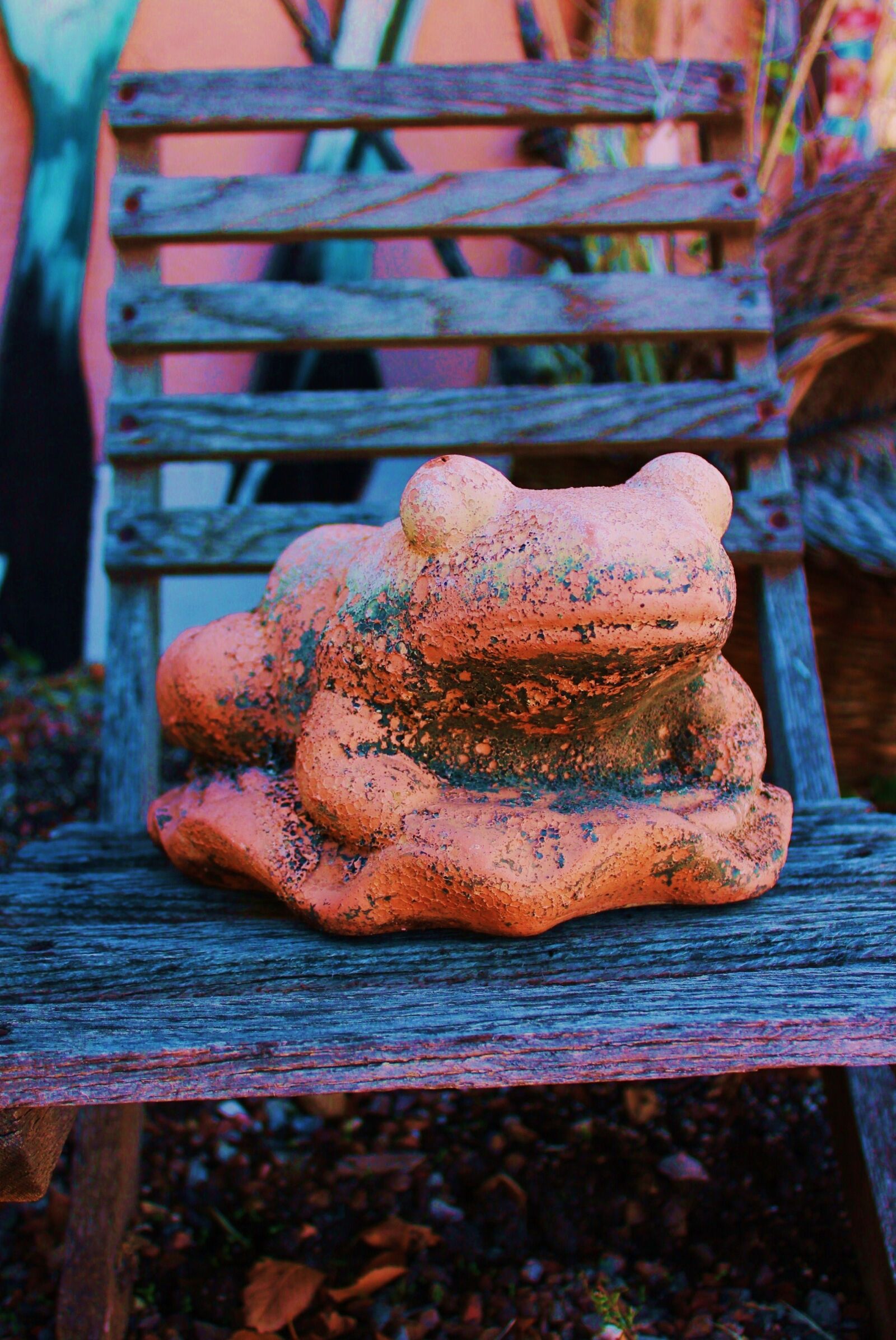 Canon EOS 1100D (EOS Rebel T3 / EOS Kiss X50) sample photo. Frog, frog totem, garden photography