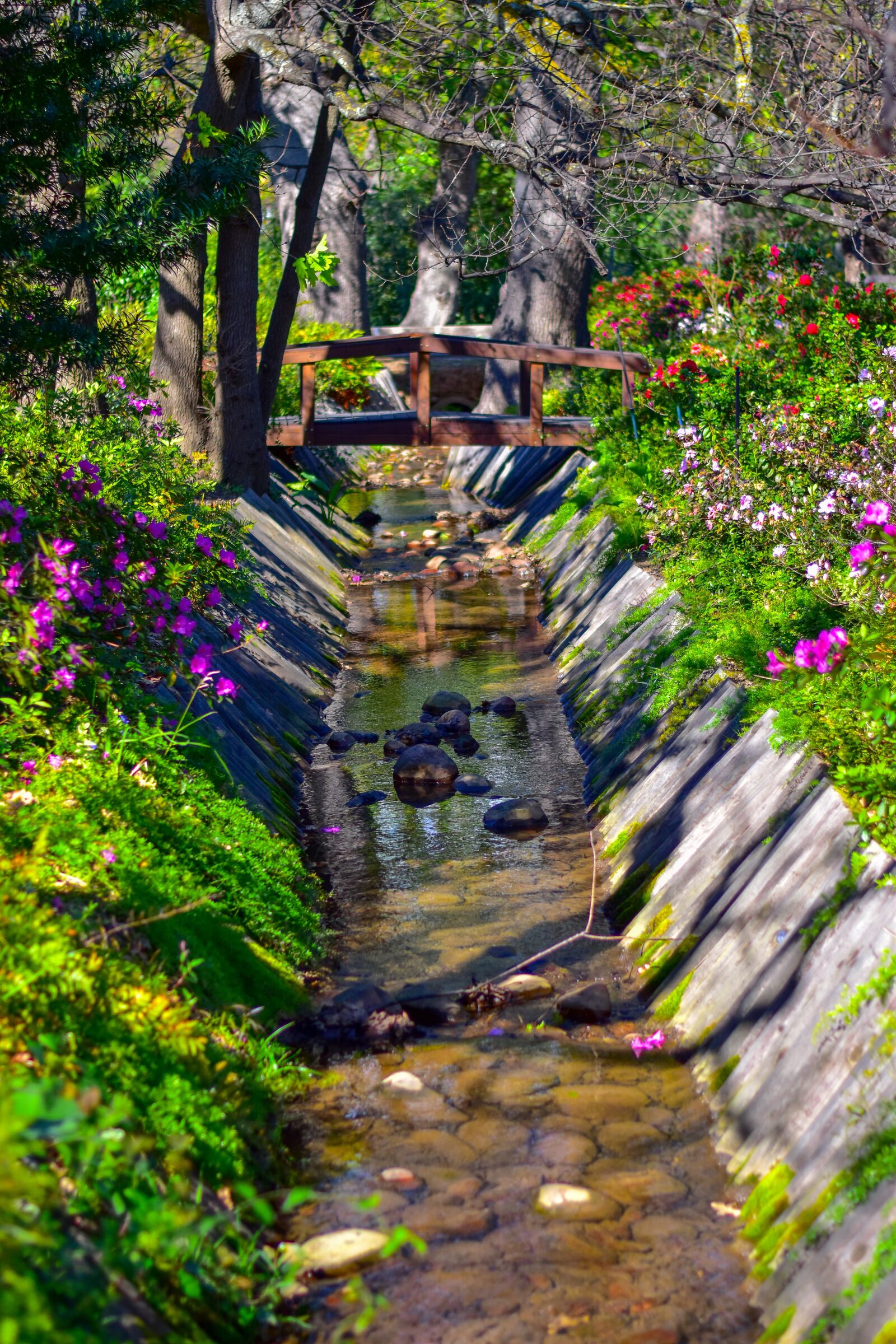 Nikon D5500 sample photo. Stream, garden, plants photography
