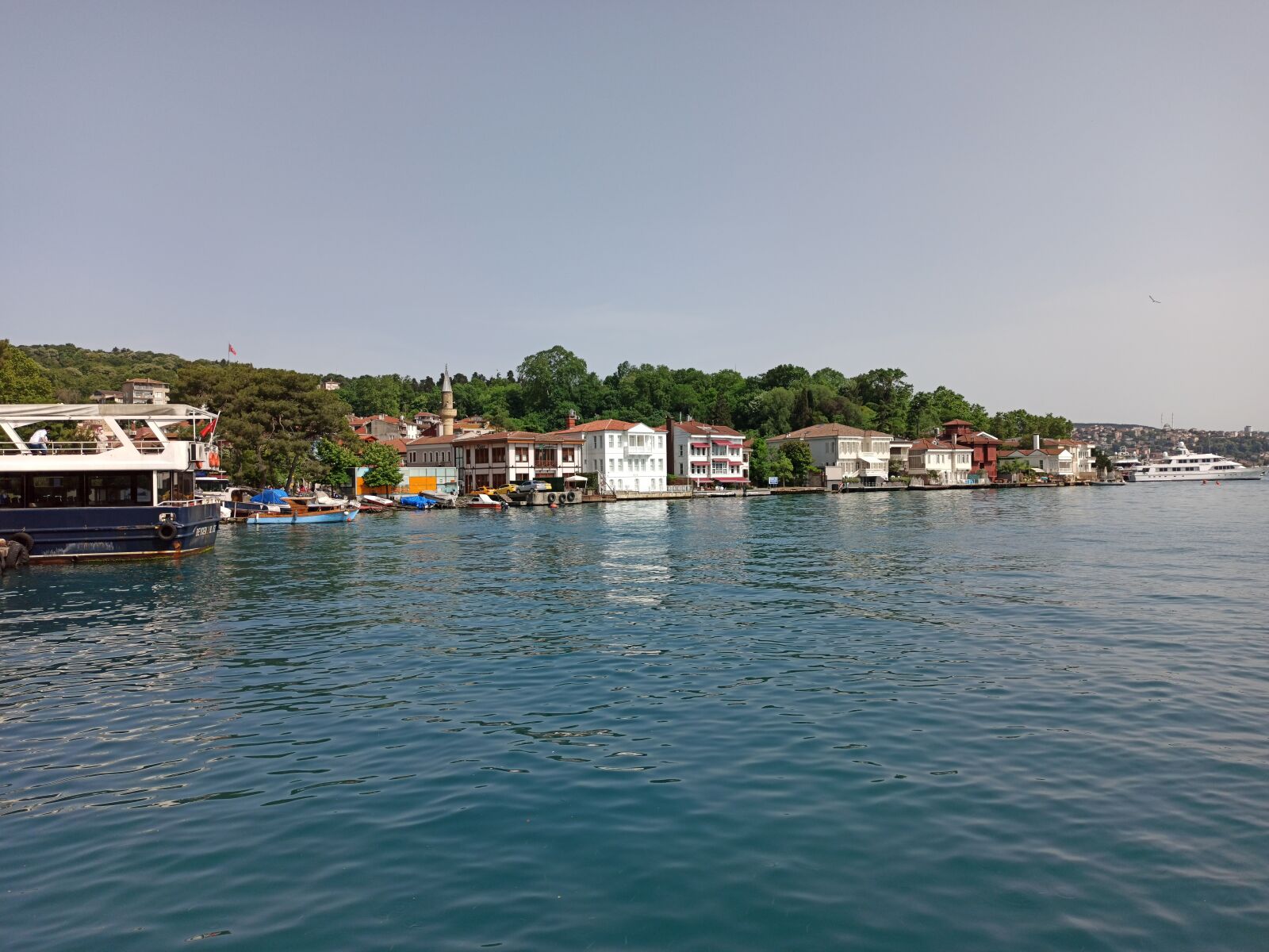 Xiaomi Redmi Note 8 Pro sample photo. Beykoz, nature, marine photography