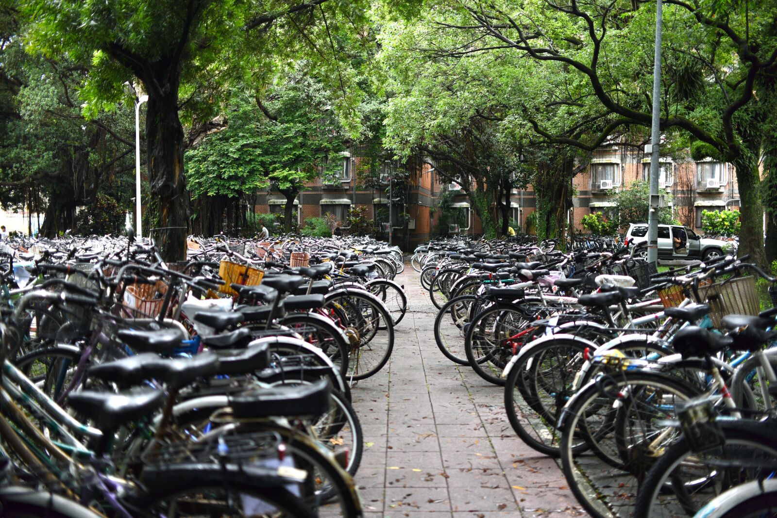 Nikon D750 sample photo. Bicycle, university, bike photography