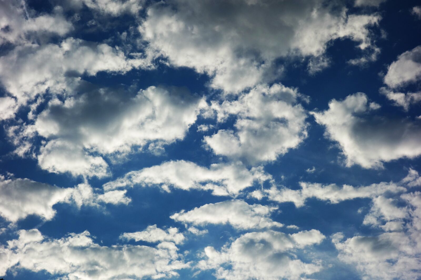 Sony Cyber-shot DSC-RX100 sample photo. Cloud, sky, blue sky photography