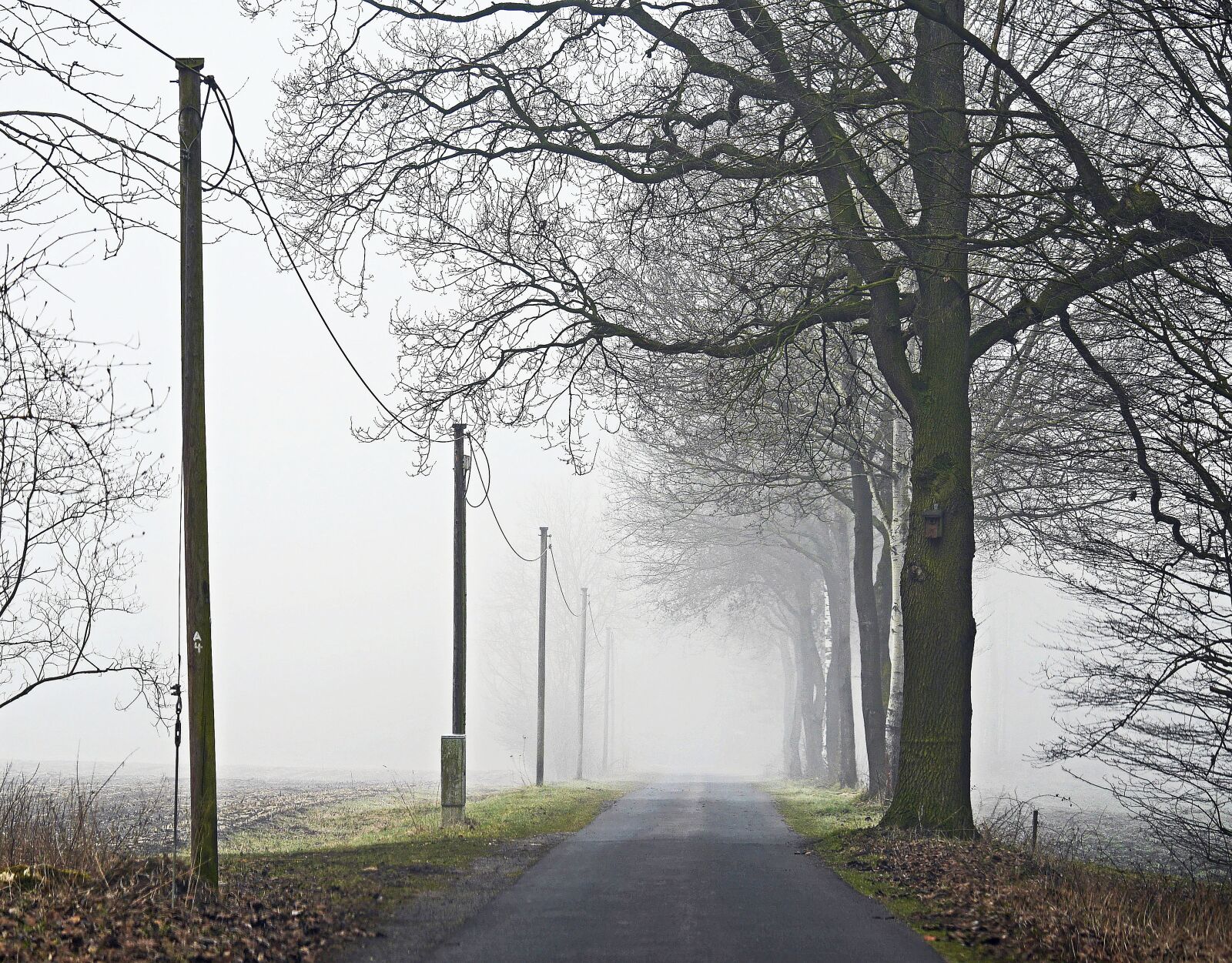 Panasonic Lumix DMC-GH3 sample photo. Fog, fields, dirt track photography