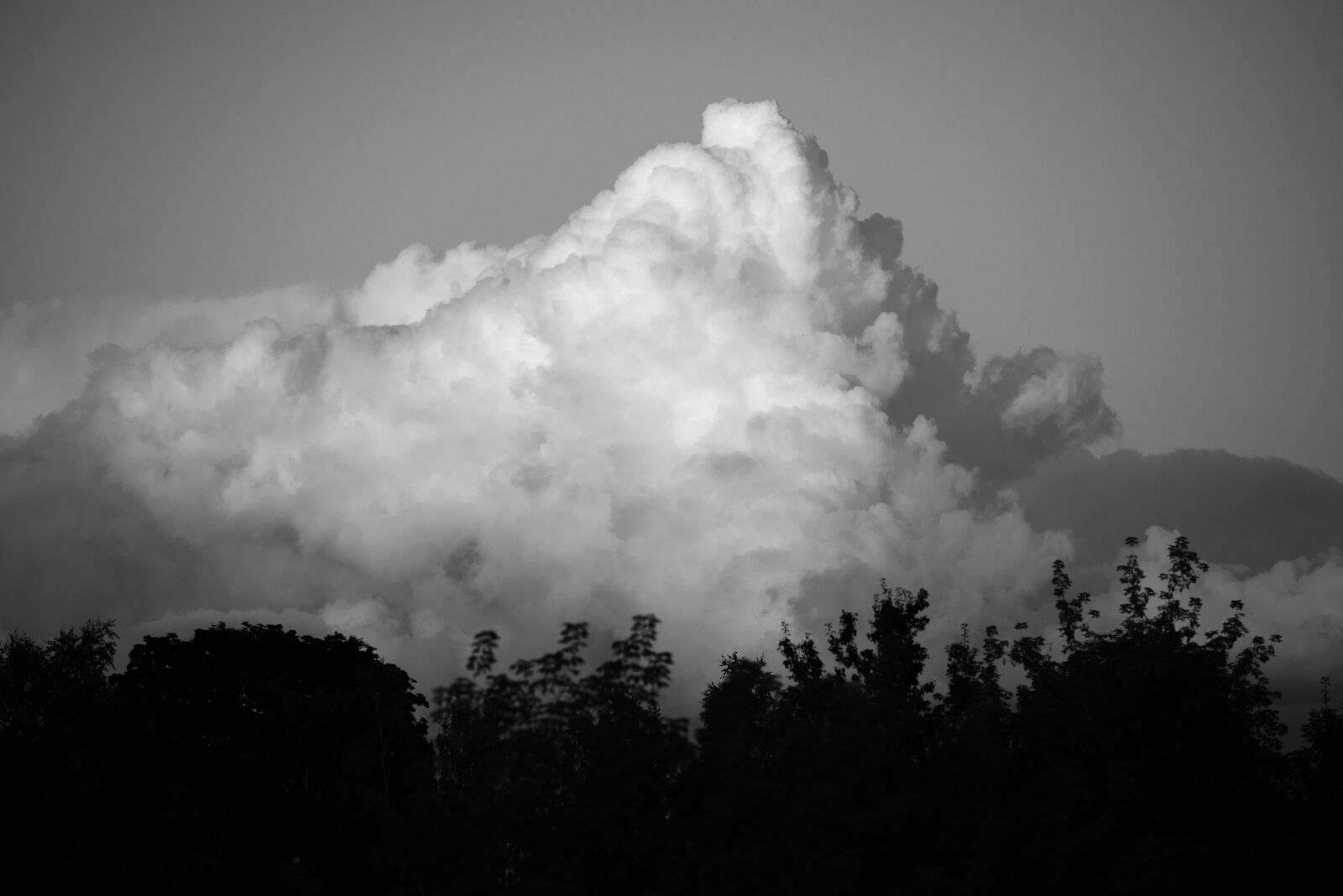 Nikon D610 sample photo. Clouds, sky, sun photography