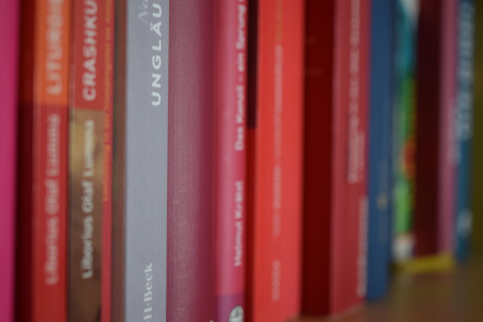 Nikon D3300 sample photo. Books, shelf, knowledge photography