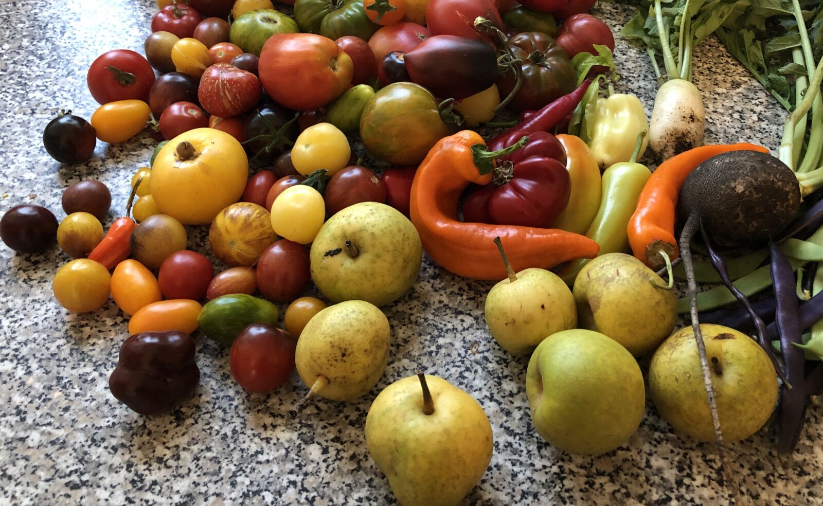 iPhone 8 Plus back dual camera 3.99mm f/1.8 sample photo. Summer, harvest, food photography