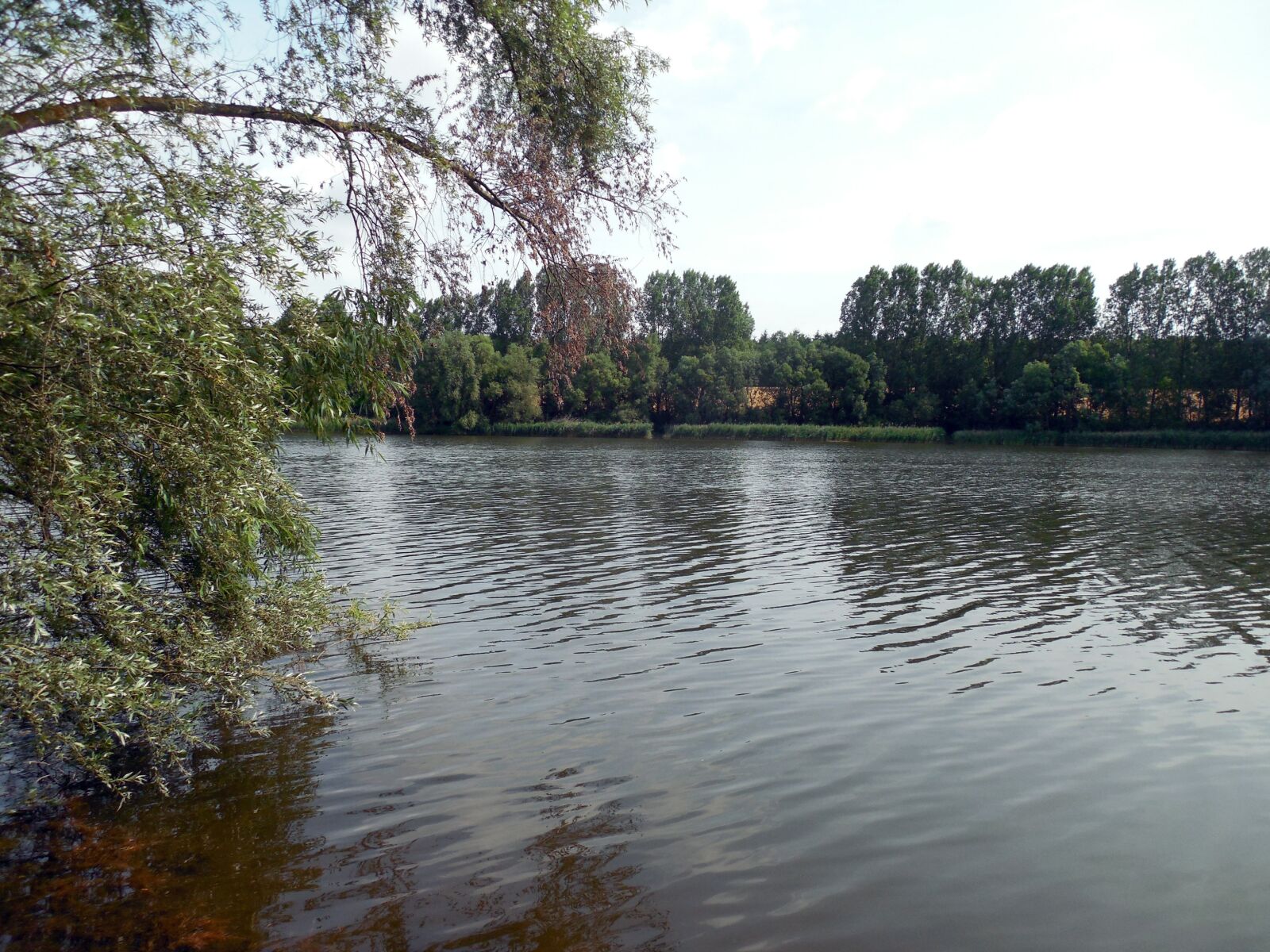 Nikon COOLPIX L620 sample photo. Lake, water, bank photography