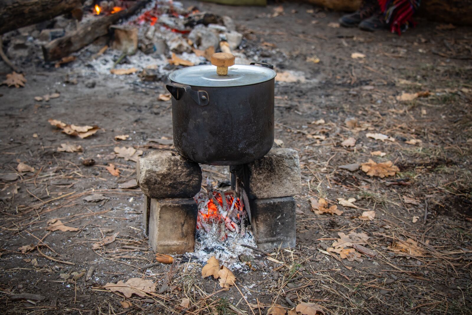 Canon EF-S 18-135mm F3.5-5.6 IS USM sample photo. Picnic, coals, food photography