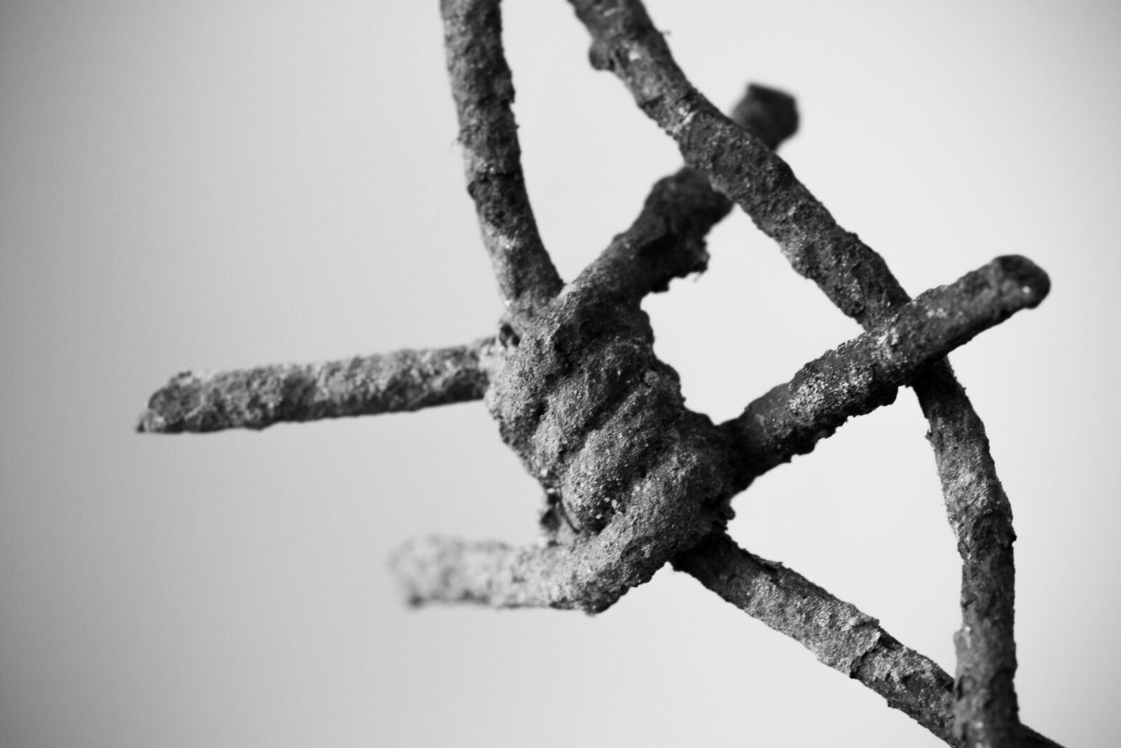 Canon EOS 500D (EOS Rebel T1i / EOS Kiss X3) sample photo. Barbed wire, black, solid photography