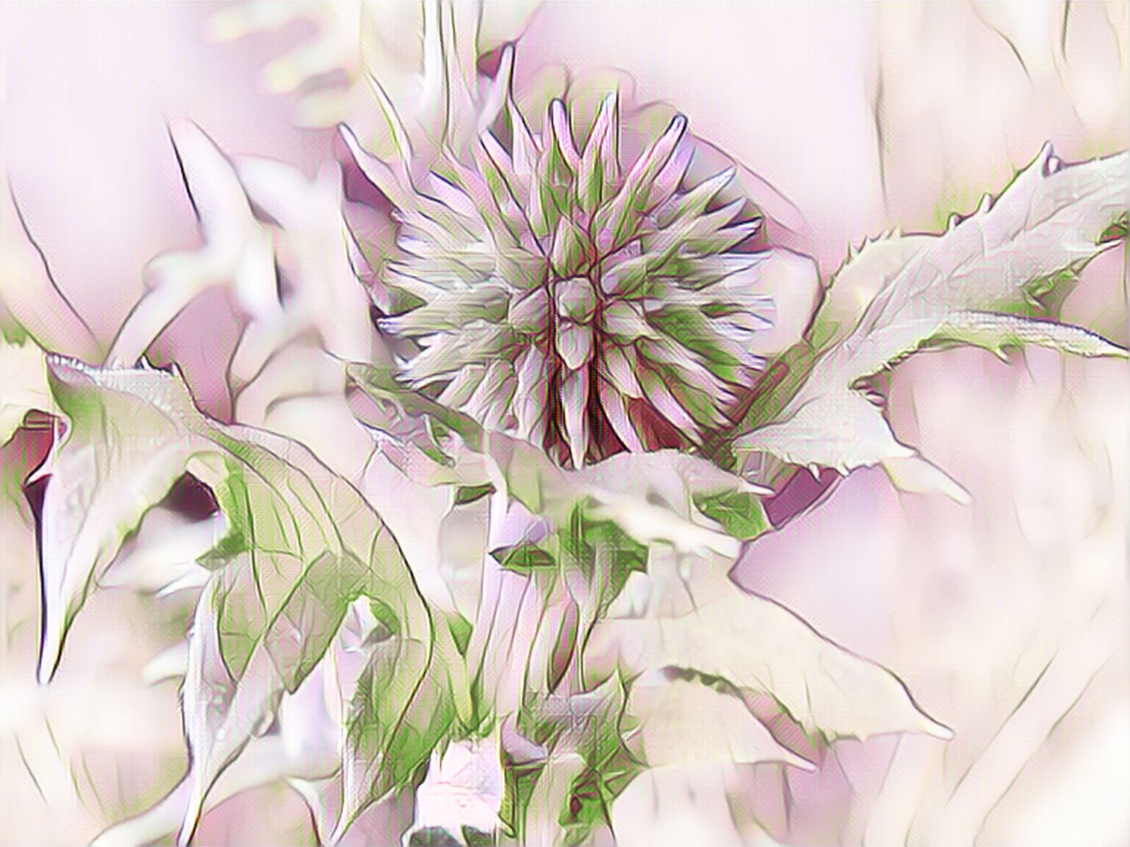 Canon PowerShot G15 sample photo. Globe thistle, digital painting photography