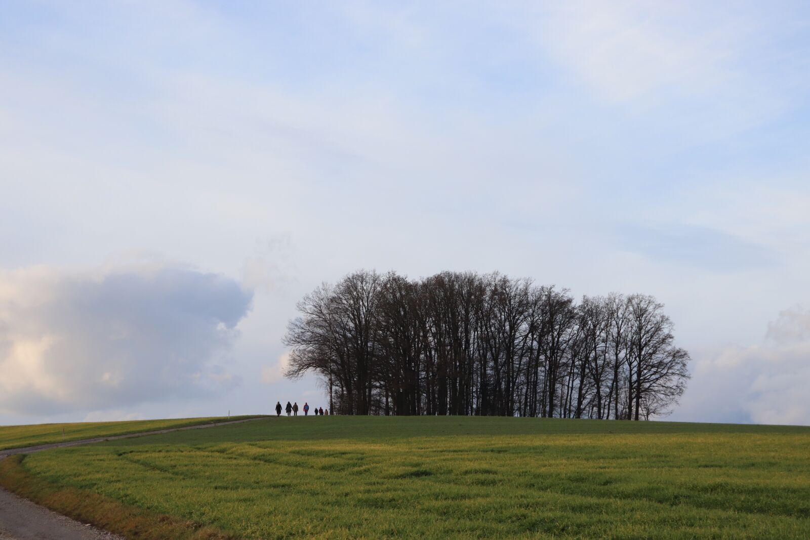 Canon EOS 77D (EOS 9000D / EOS 770D) sample photo. Nature, landscape, forest photography