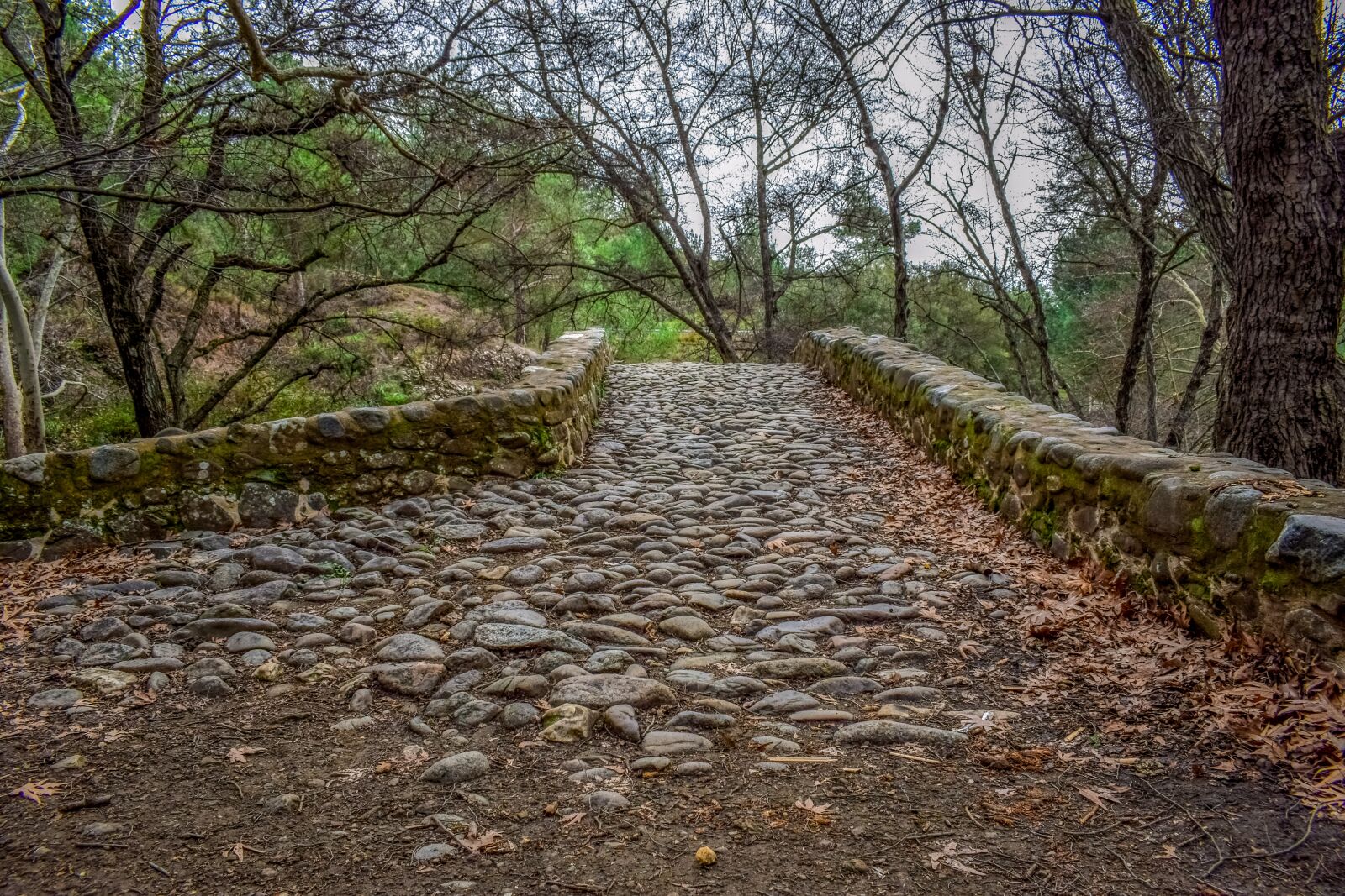 Nikon D3300 sample photo. Cobblestone, cobbled road, stone photography