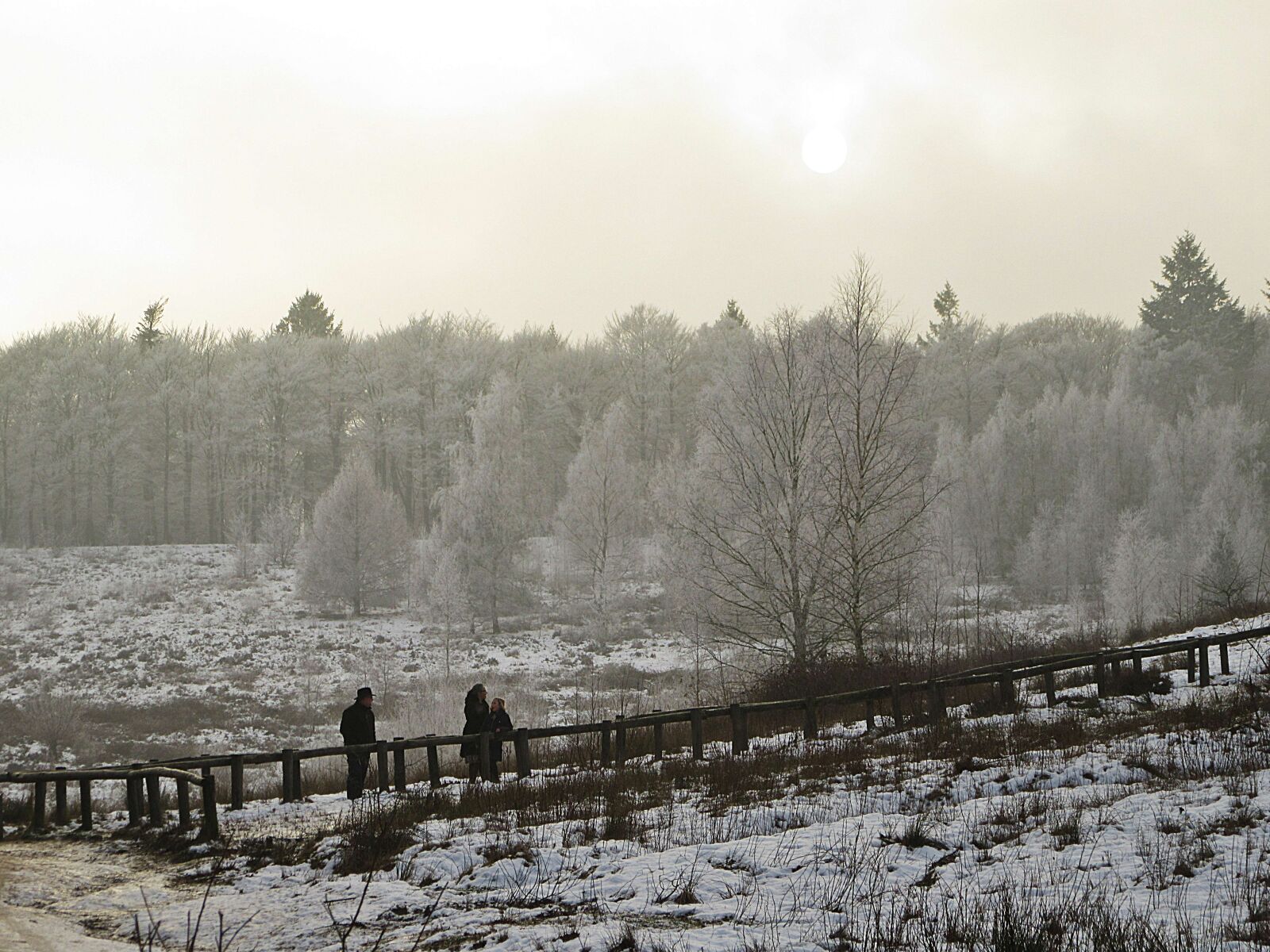 Canon PowerShot SX610 HS sample photo. Trap, forest, winter photography