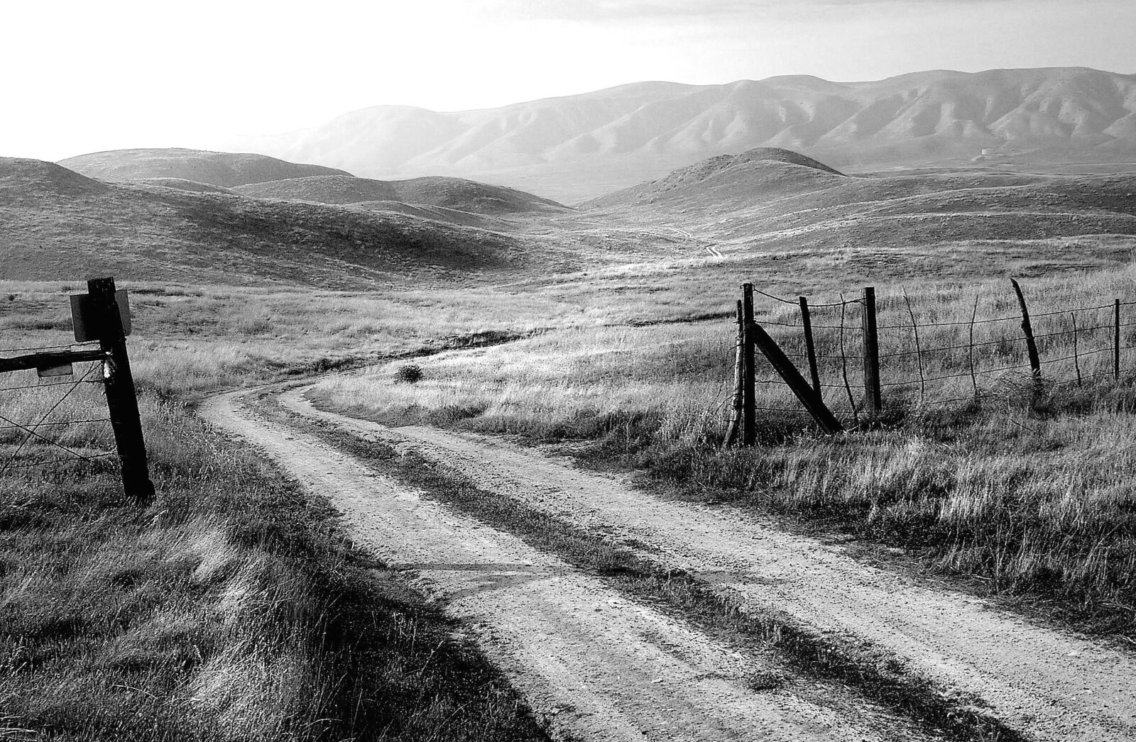 Pentax *ist DS sample photo. Road, farm, fence, field photography