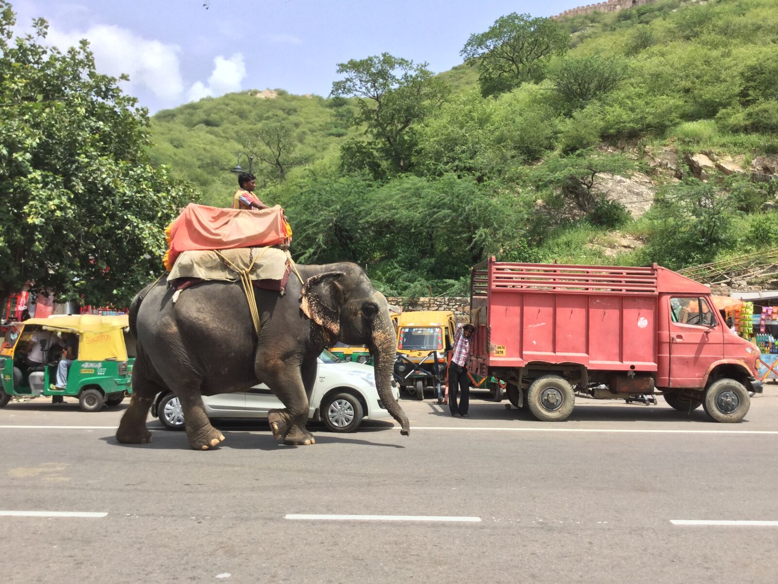 Apple iPad Air 2 sample photo. Elephant, riding, road photography