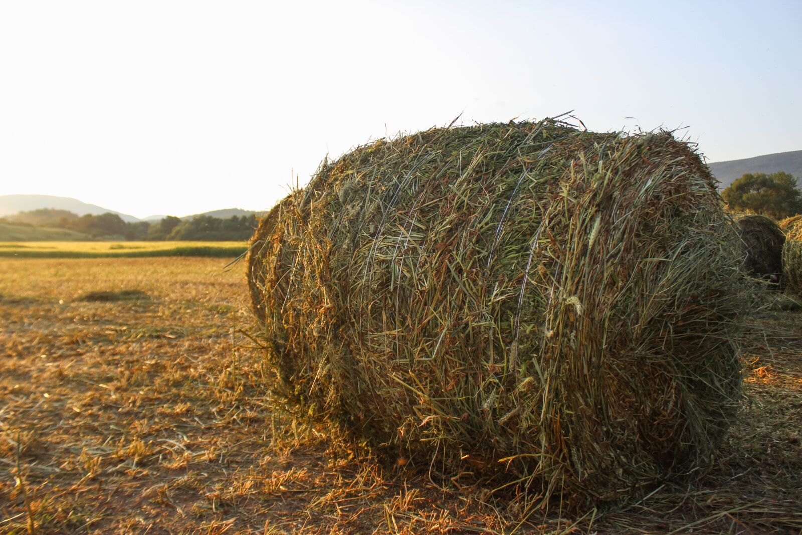 Canon EOS 600D (Rebel EOS T3i / EOS Kiss X5) sample photo. Haystacks, nature, haystack photography