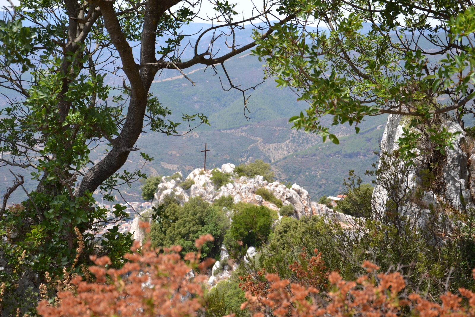 Nikon D3100 sample photo. Flowers, trees, cross photography