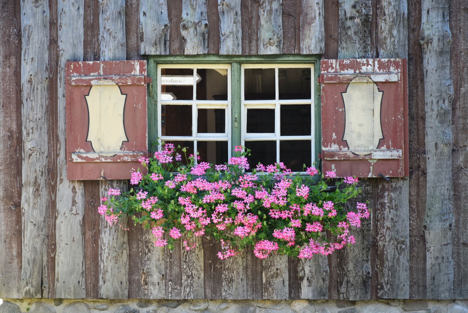 Nikon D7200 sample photo. Window, window sill, flowers photography
