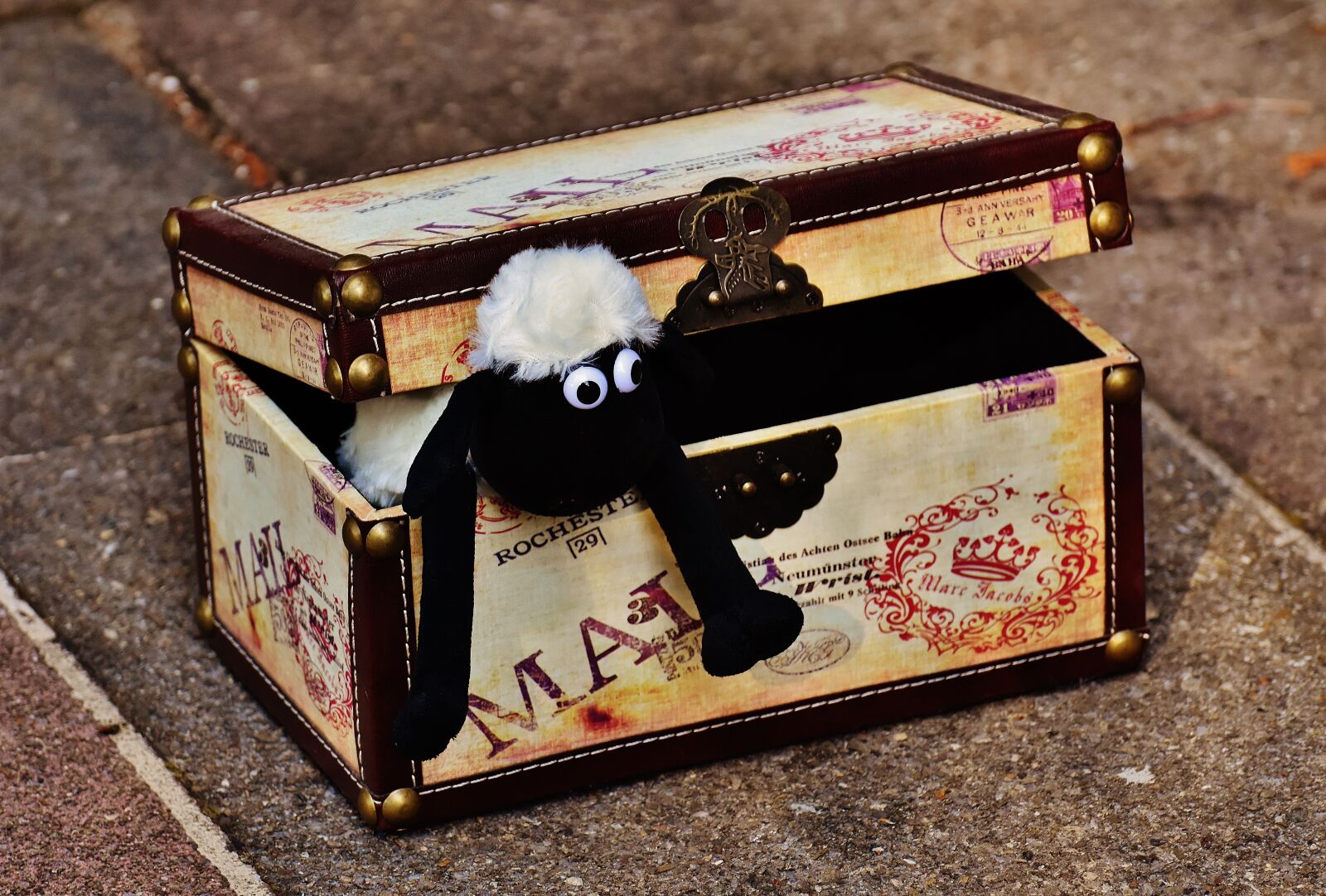 Nikon D7200 sample photo. Sheep, chest, box photography