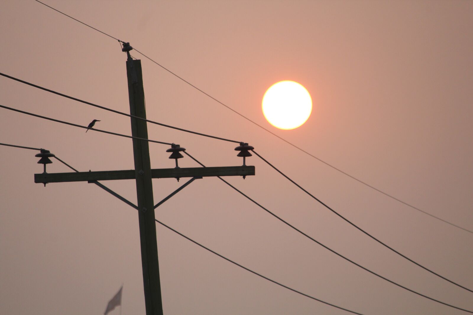 Canon EF-S 55-250mm F4-5.6 IS STM sample photo. Electricity, wire, power photography