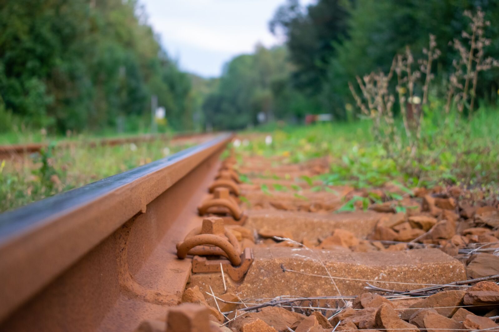 Nikon D5300 sample photo. Track, rail, railroad track photography