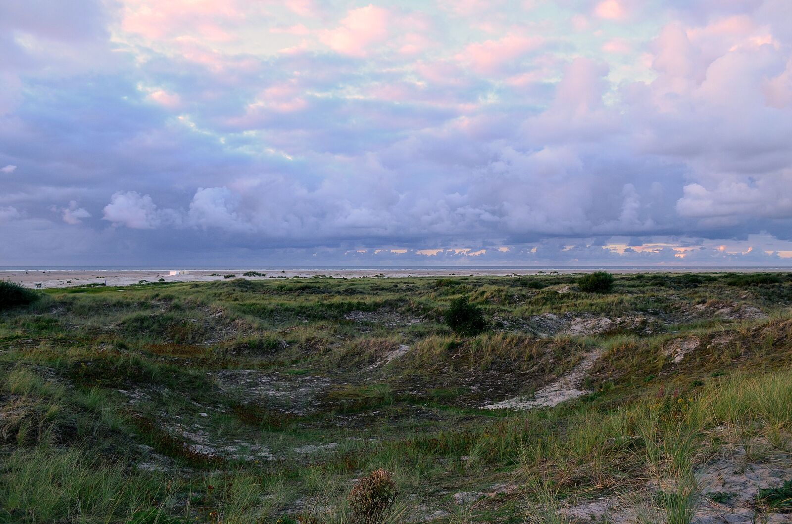 Nikon D5100 sample photo. Dune landscape, borkum youth photography