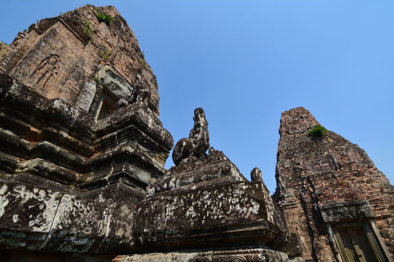 Nikon D7100 sample photo