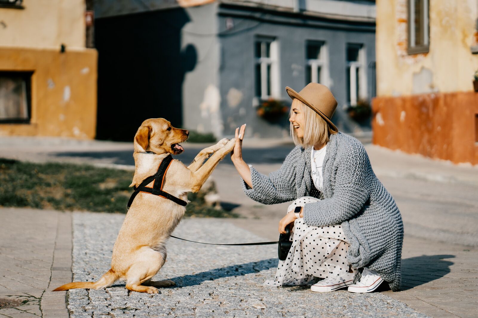 Sony a7 + ZEISS Batis 85mm F1.8 sample photo. Girl, dog, pet photography