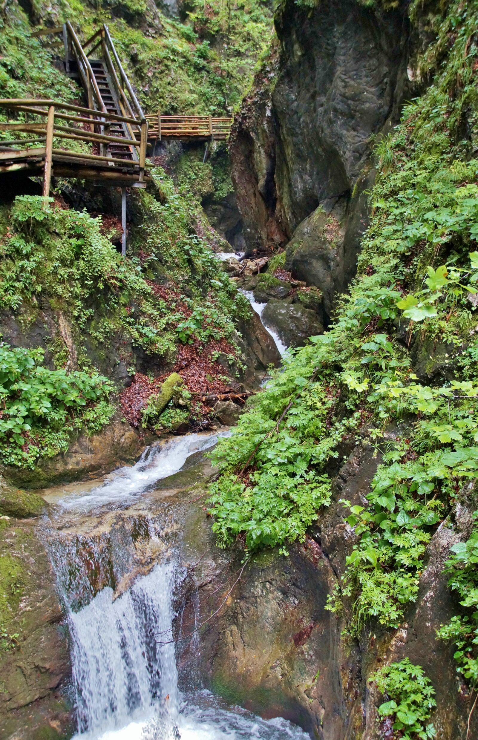 Sony SLT-A58 sample photo. Alps, austria, defile photography