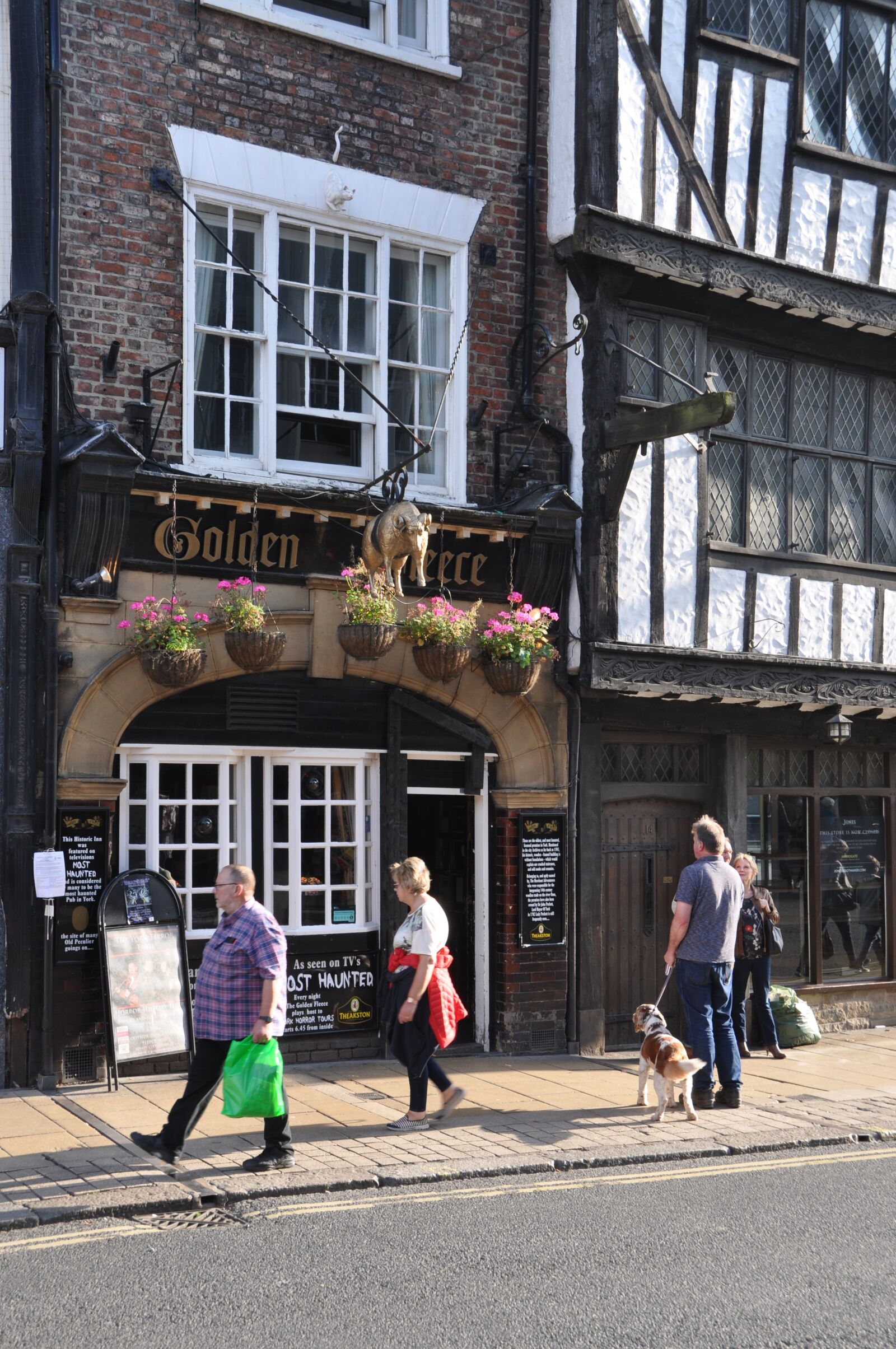 Nikon D5000 sample photo. York, historic, black and photography