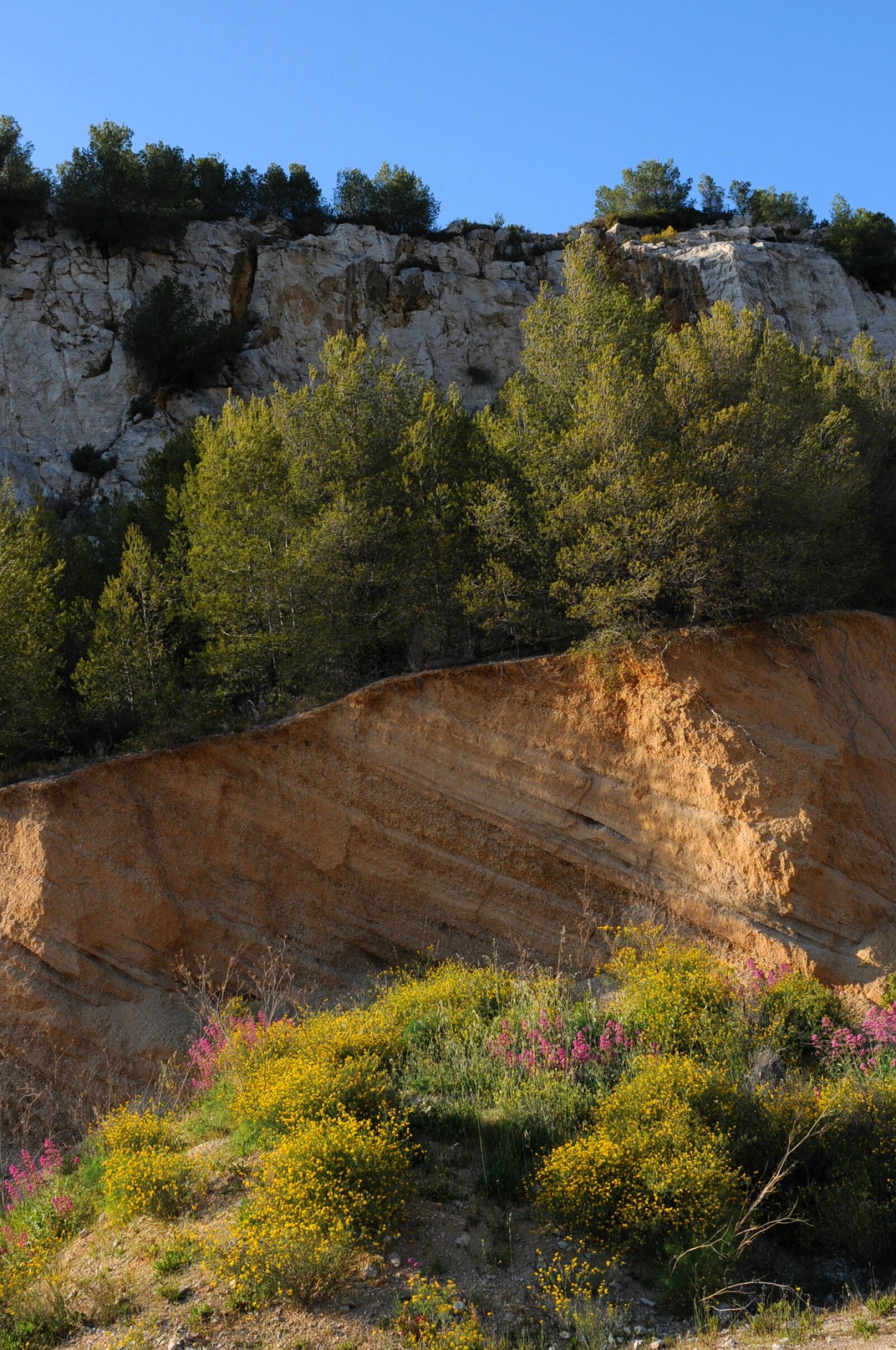 Nikon D300 sample photo. Mountain, landscape, creeks photography