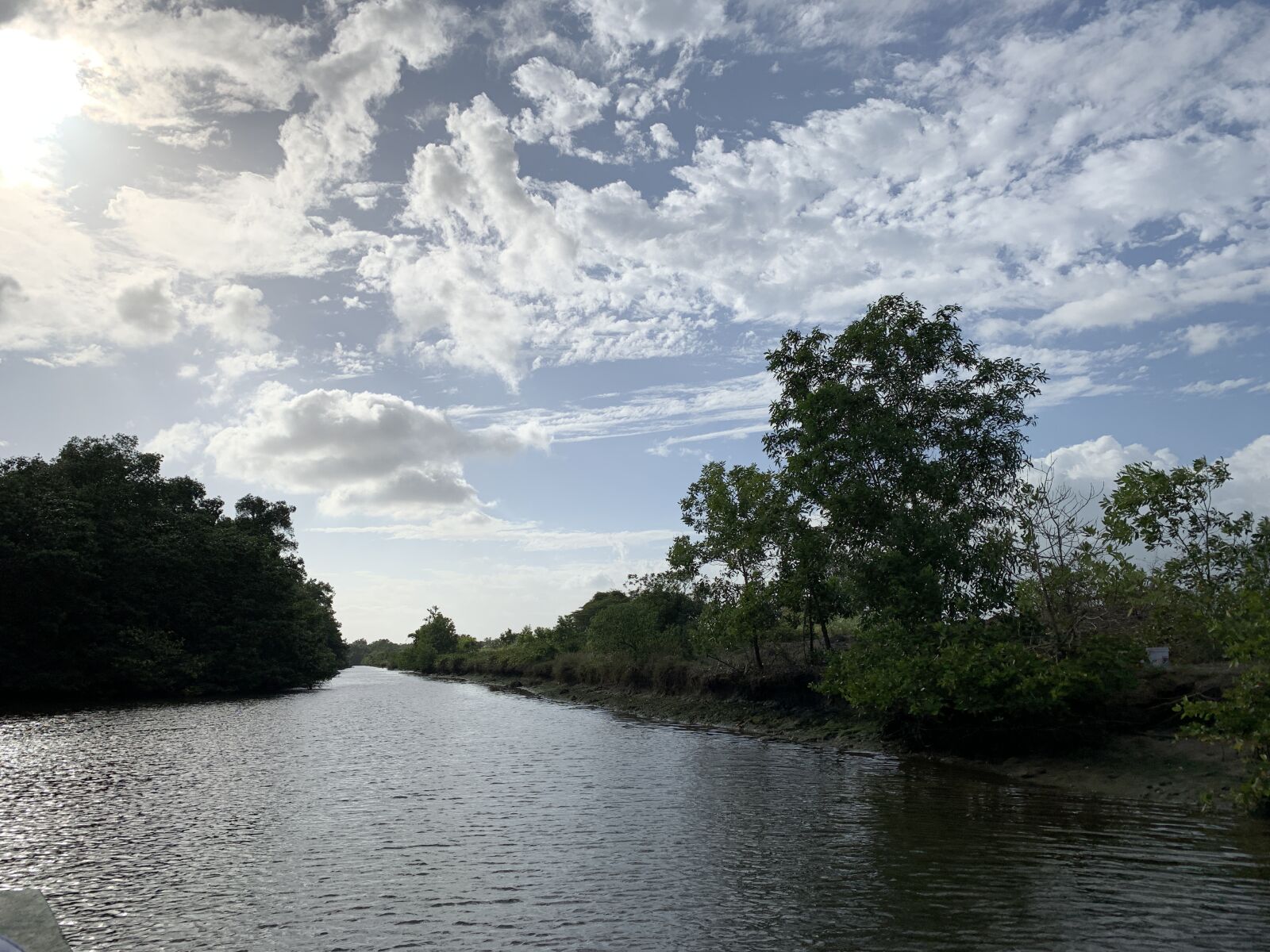 Apple iPhone XR sample photo. Cloud, tree, water photography