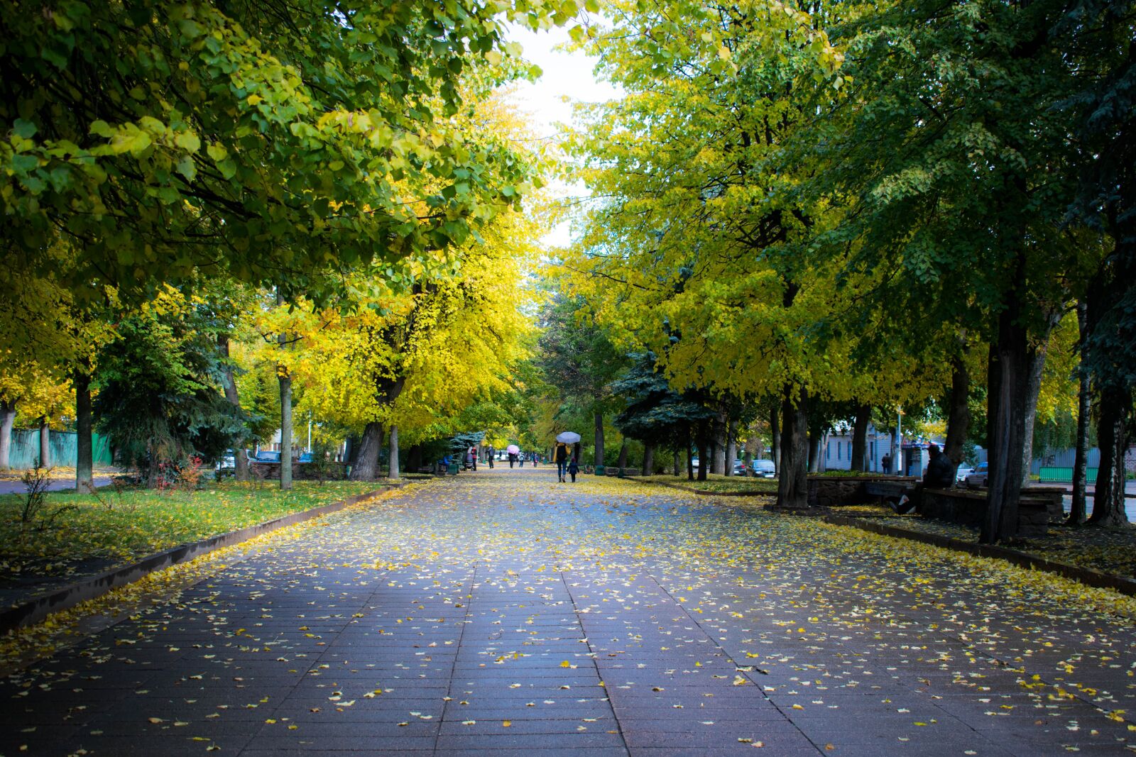 Nikon D3300 sample photo. Ukraine, zhitomir, park photography