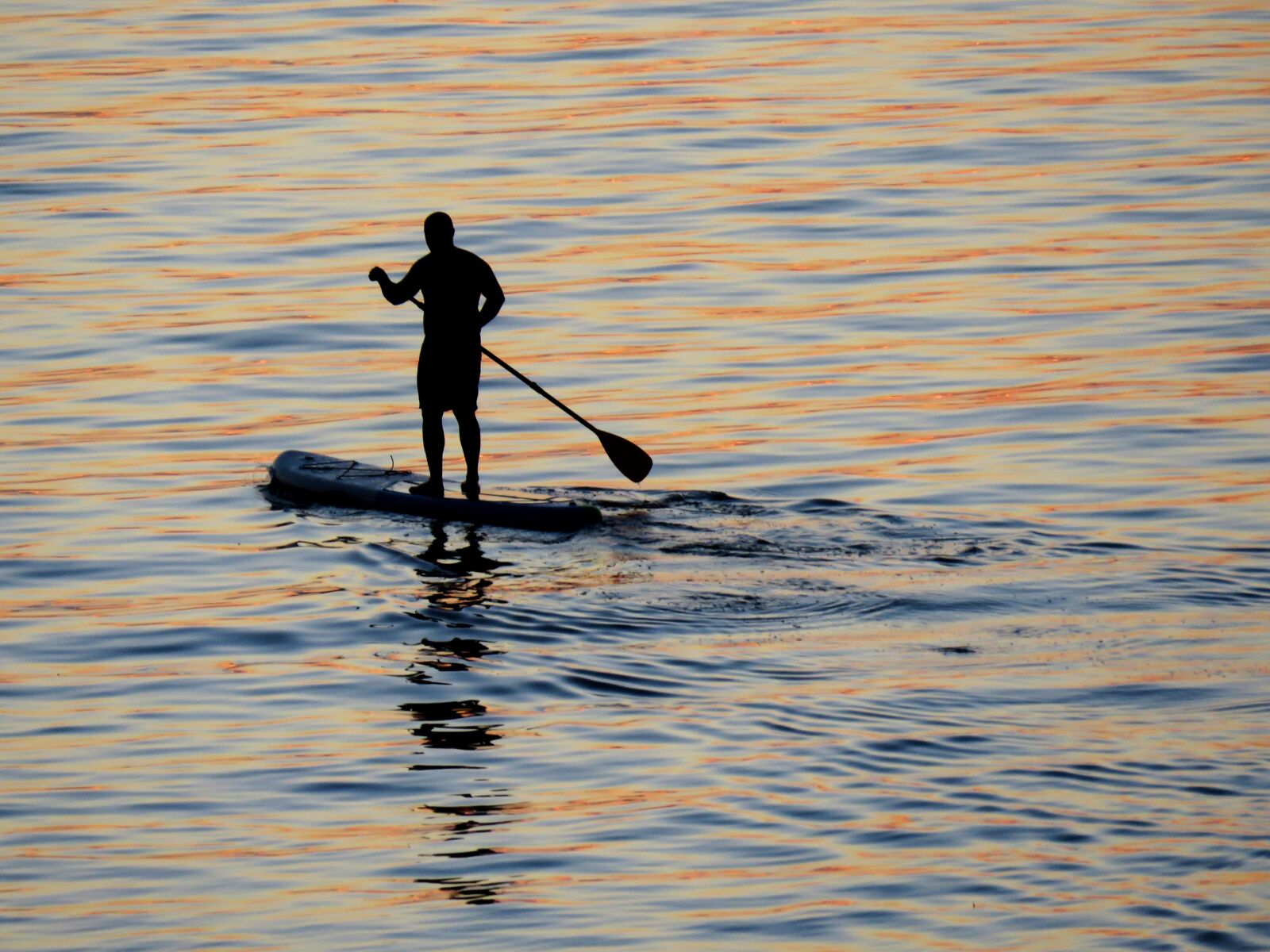 Canon PowerShot SX60 HS sample photo. Surfing, water, ocean photography