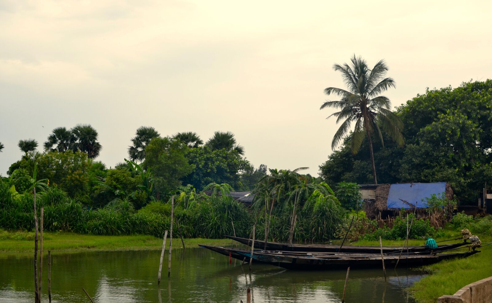 Nikon D3100 sample photo. Boat, fishing, boat, india photography