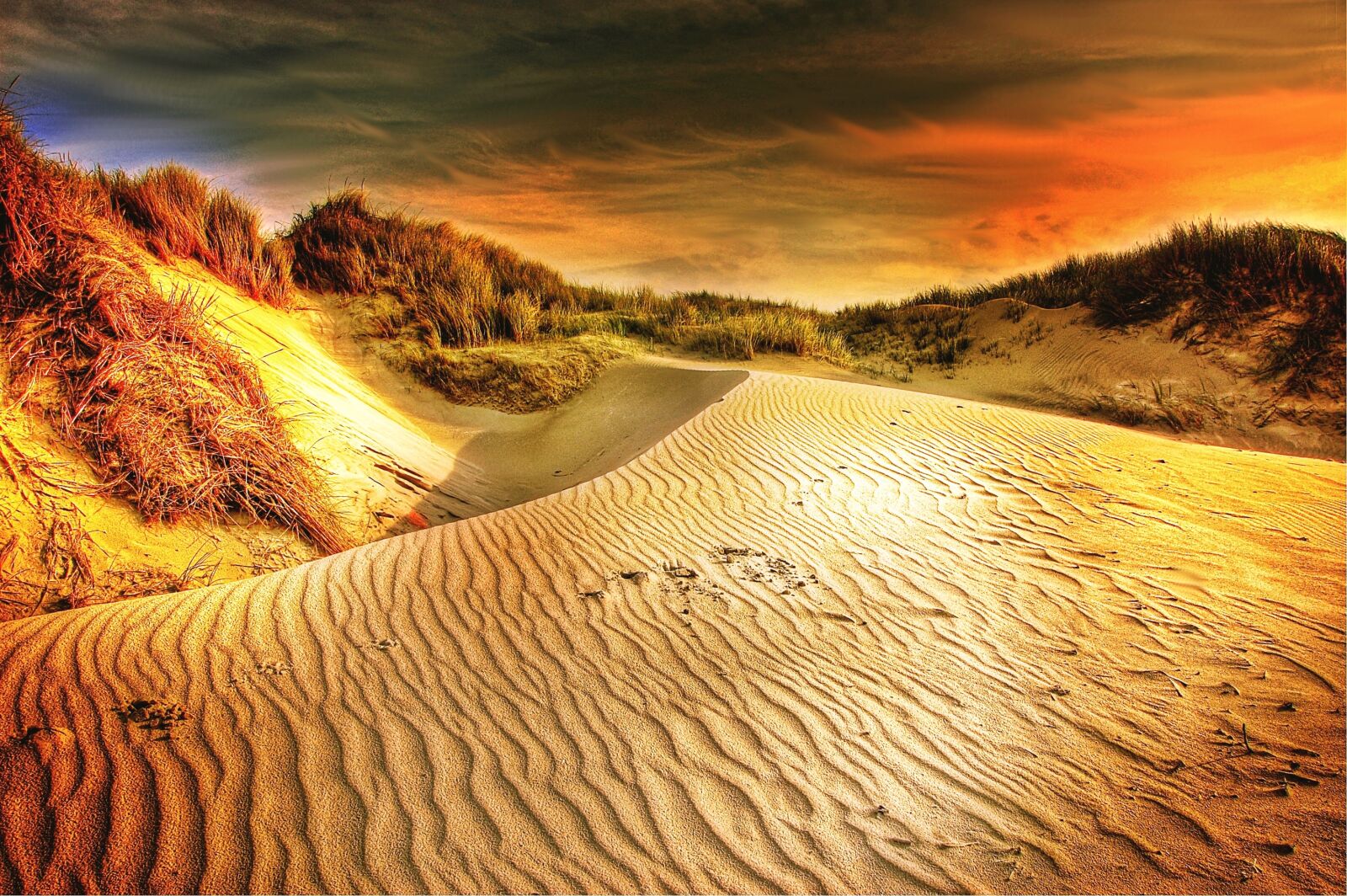 Nikon D40 sample photo. Sun, dunes, sand photography