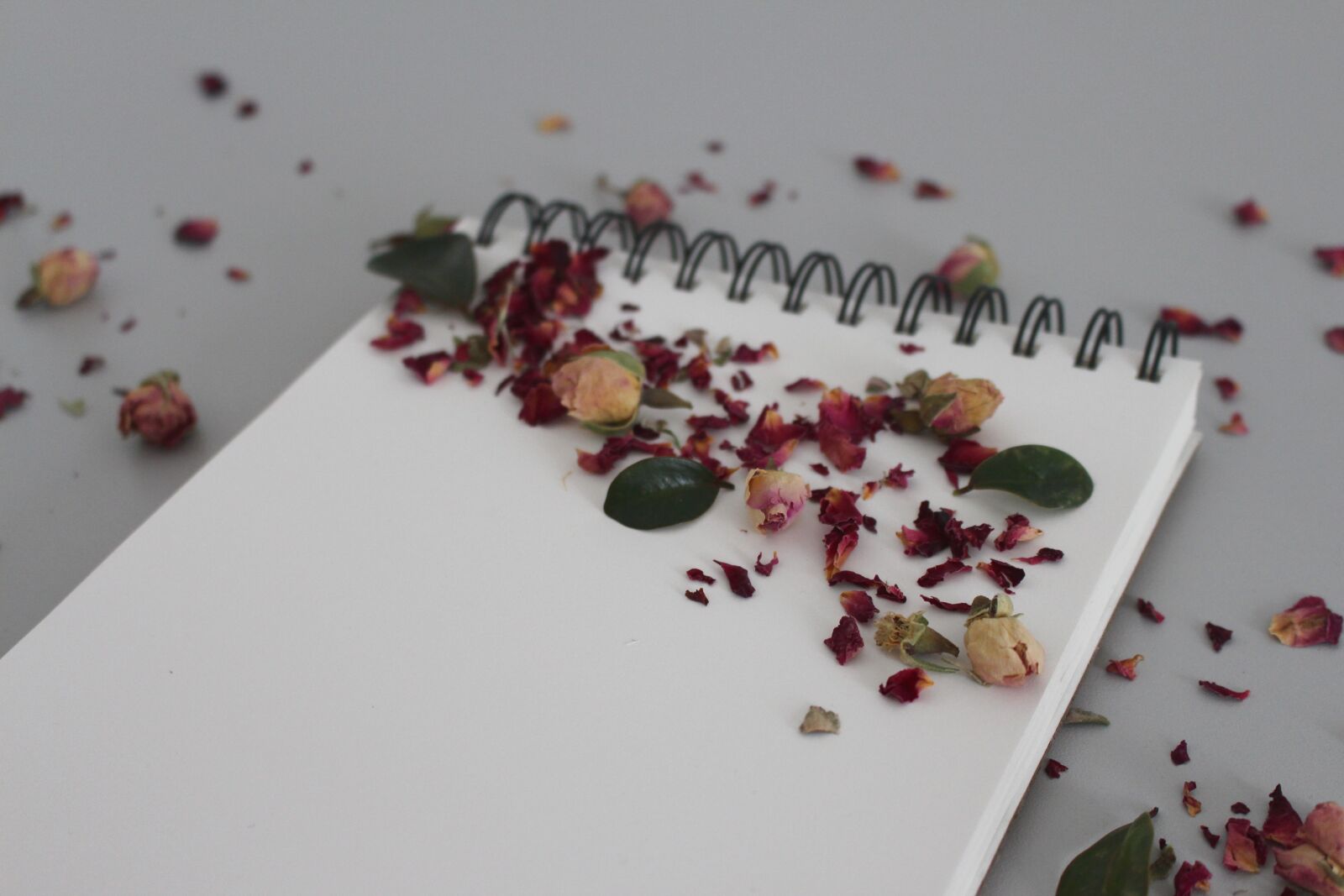 Canon EOS 700D (EOS Rebel T5i / EOS Kiss X7i) sample photo. Flower, notebook, notes photography