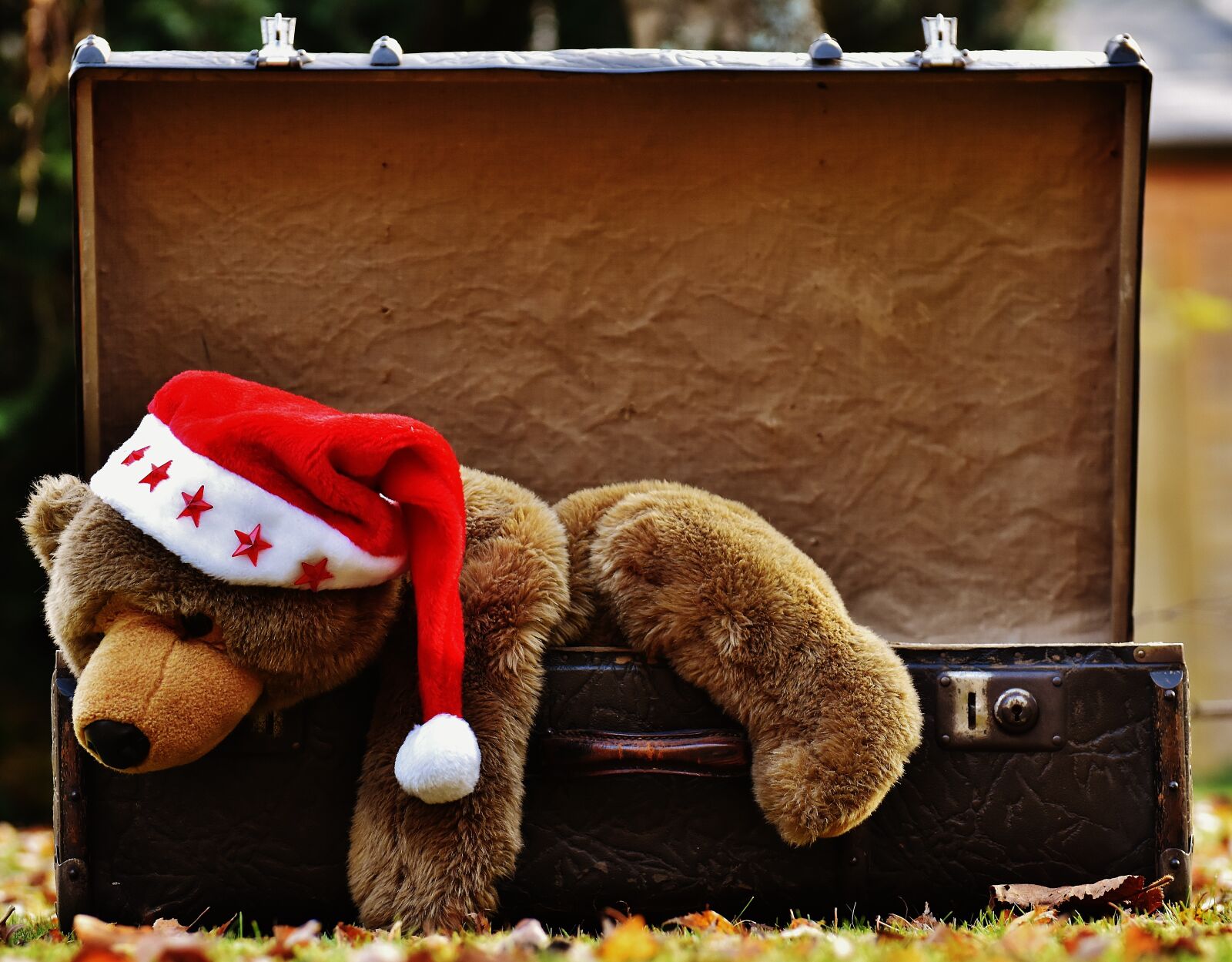 Nikon D7200 sample photo. Christmas, luggage, antique photography