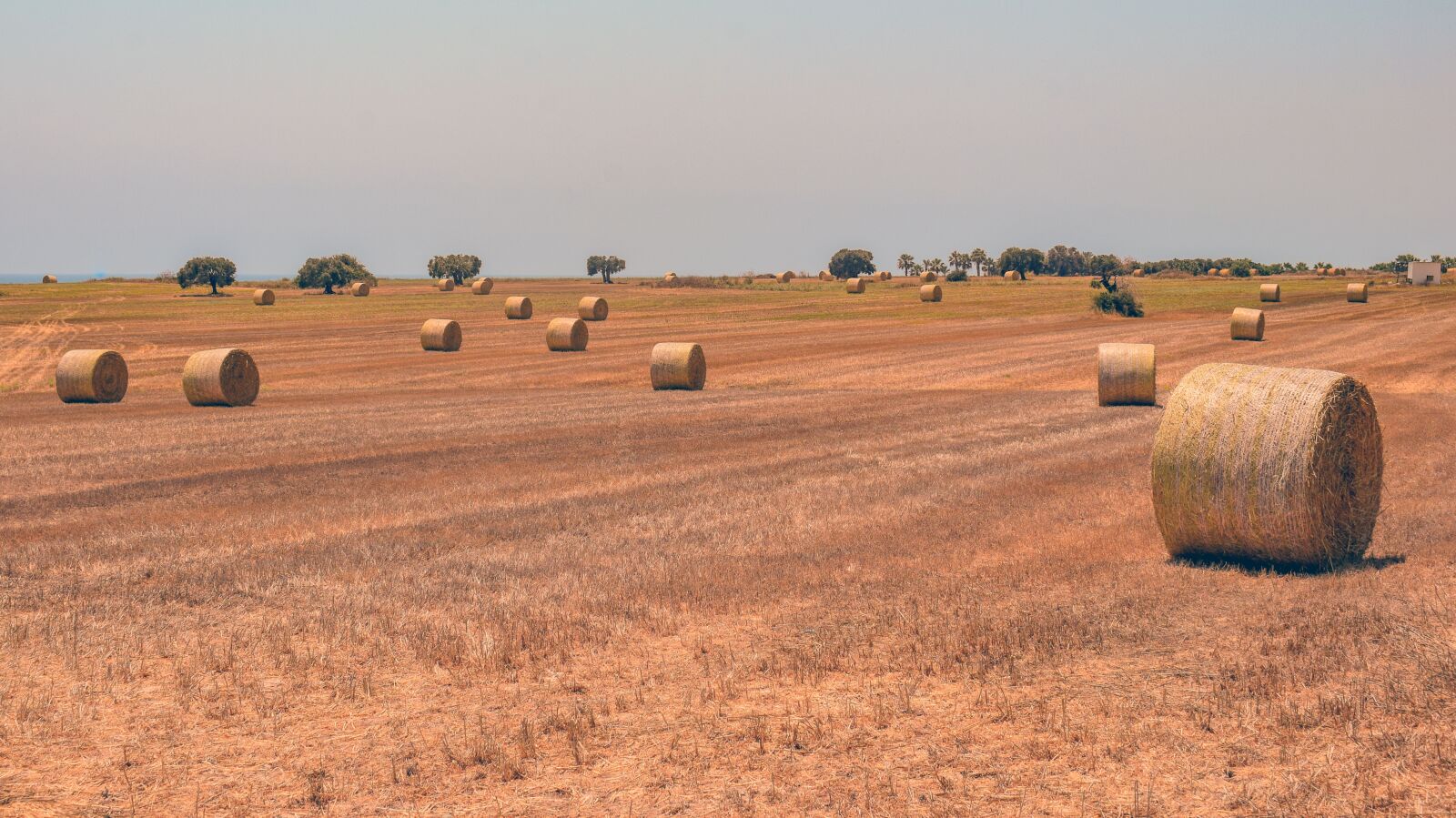 Nikon D3300 sample photo. Hay, straw, bale photography