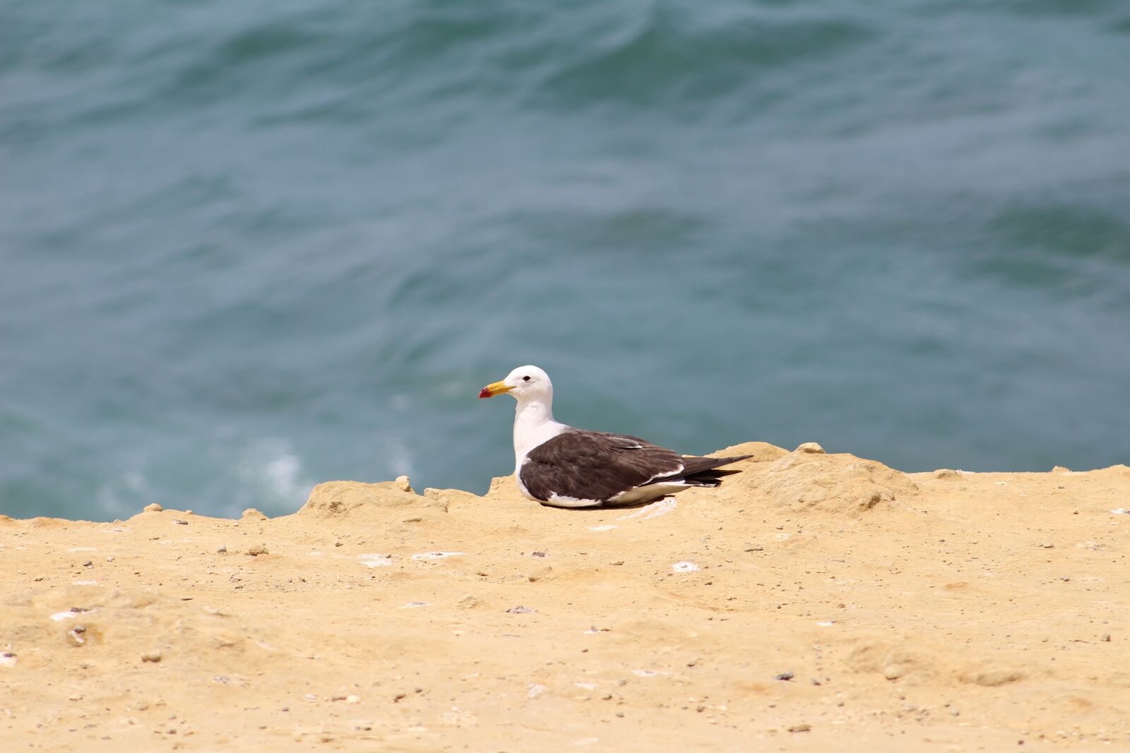 Canon EOS 1300D (EOS Rebel T6 / EOS Kiss X80) sample photo. Sea, costa, beach photography