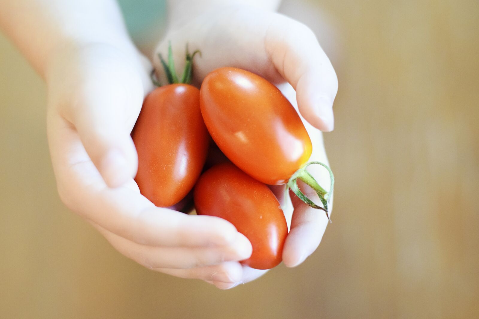 Nikon D5300 sample photo. Cherry tomatoes, tomatoes, garden photography