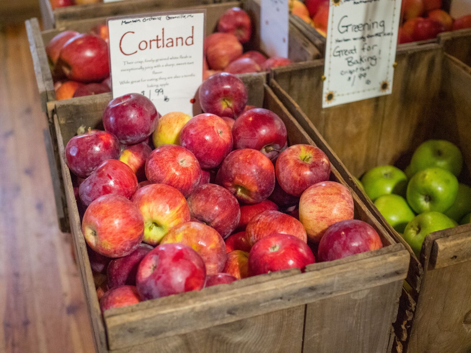 Olympus OM-D E-M1 Mark II + Olympus M.Zuiko Digital 25mm F1.8 sample photo. Apples, cortland, red photography